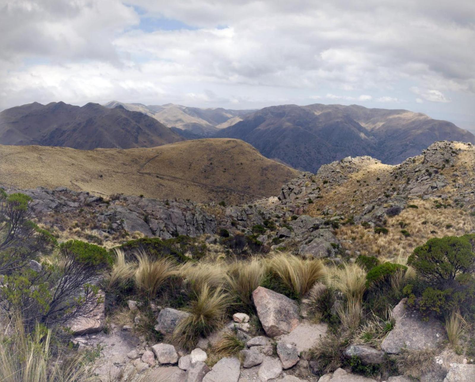 Casa del Río, privacidad, monte y paz