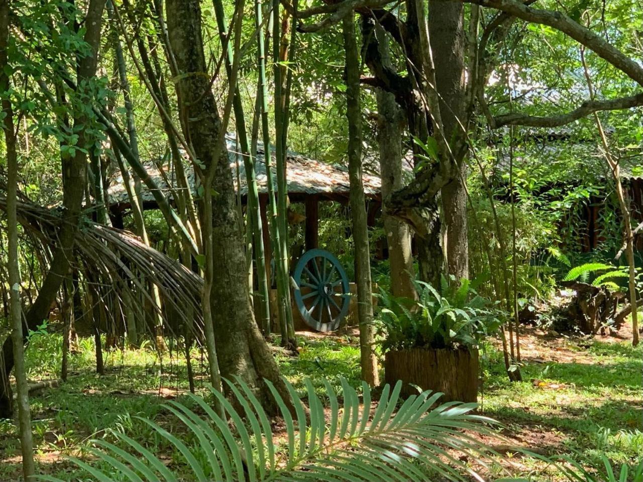 Blue Sapphire Safari Lodge, Udawalawe