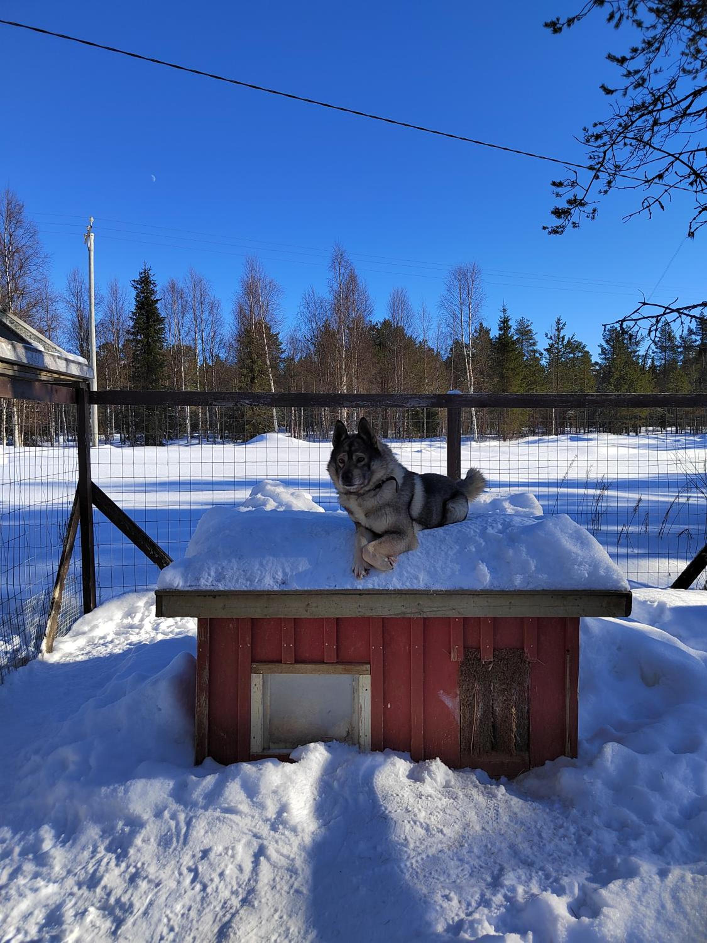 Mummon Mökki
