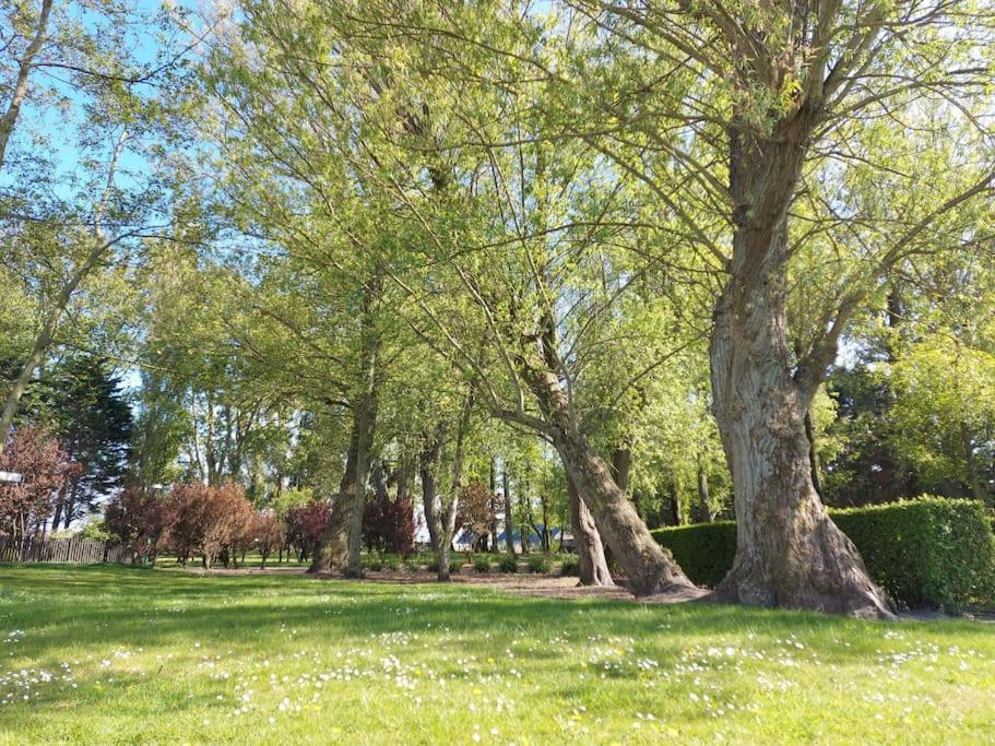 Appartement Orchidee - De Haan incl. privé parking