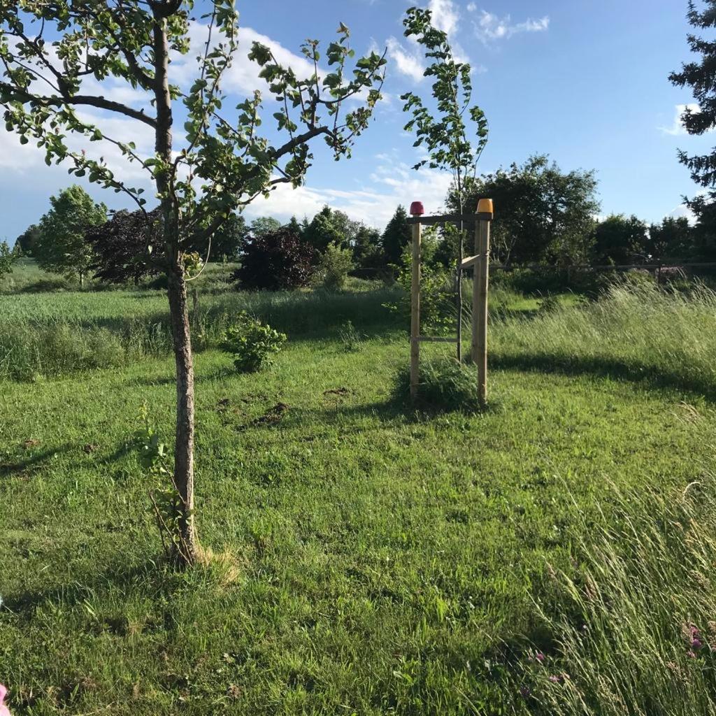 Zelte individuell auf der Obstwiese - Property Image 4
