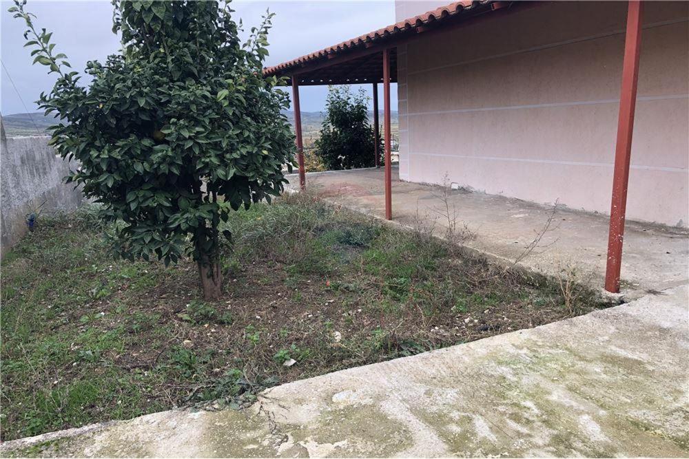 Vila Rosis