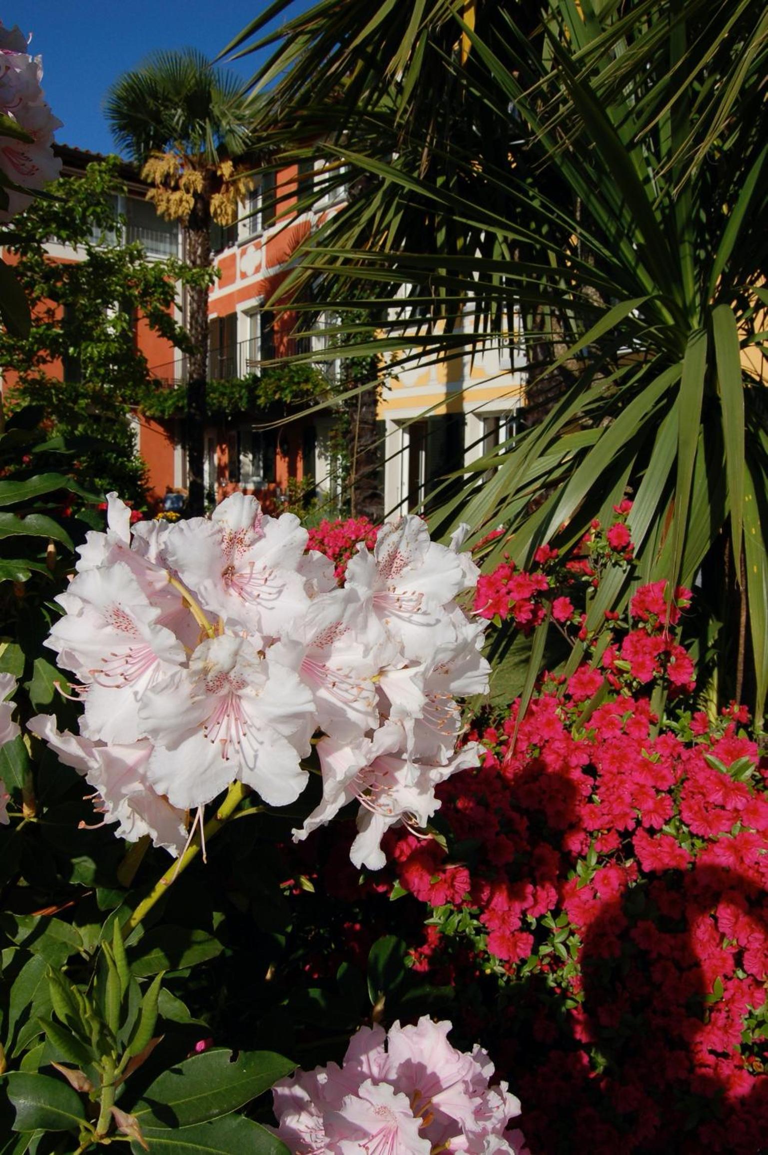 Casa Concerto Hotel