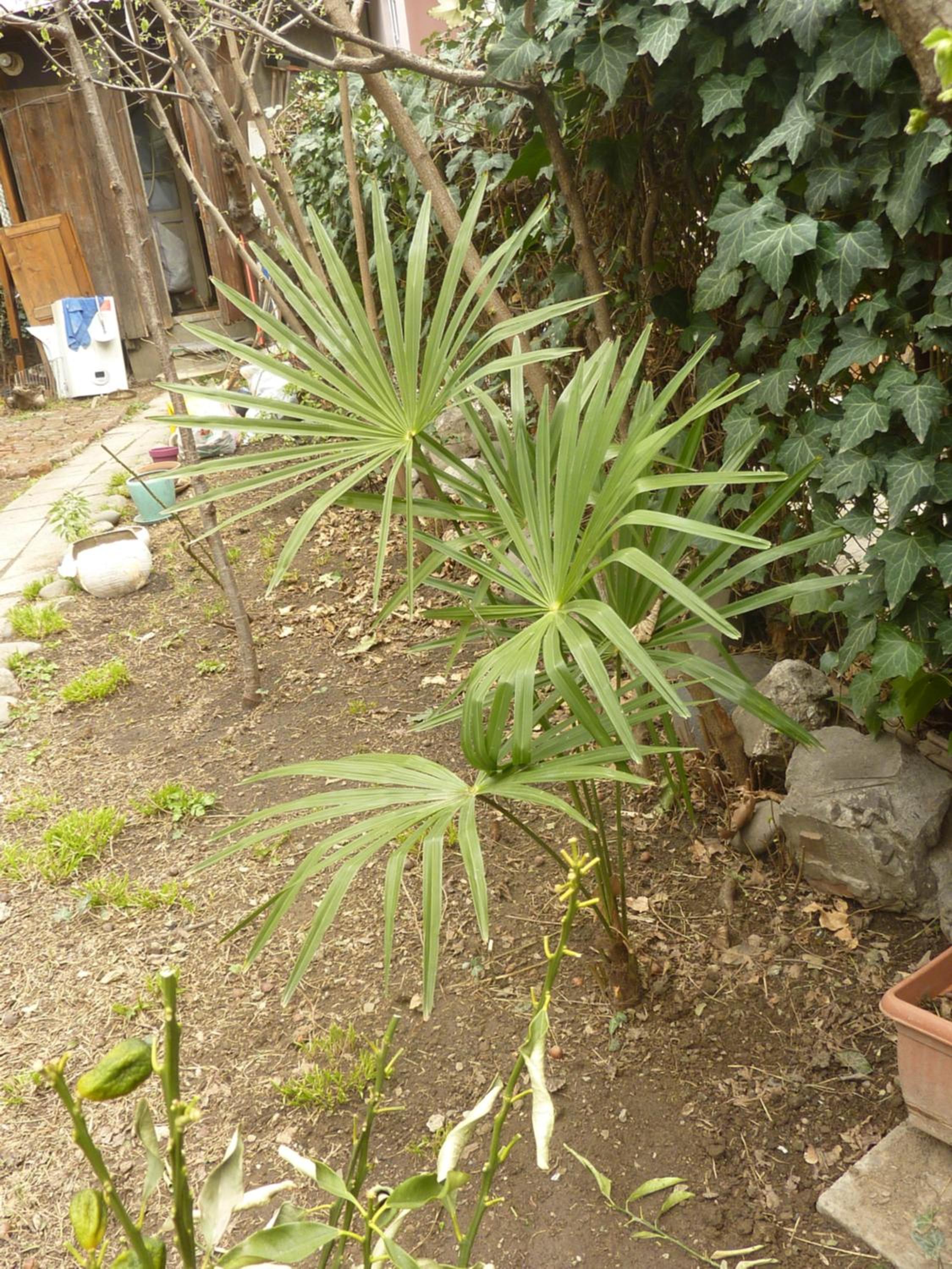 Photo 39