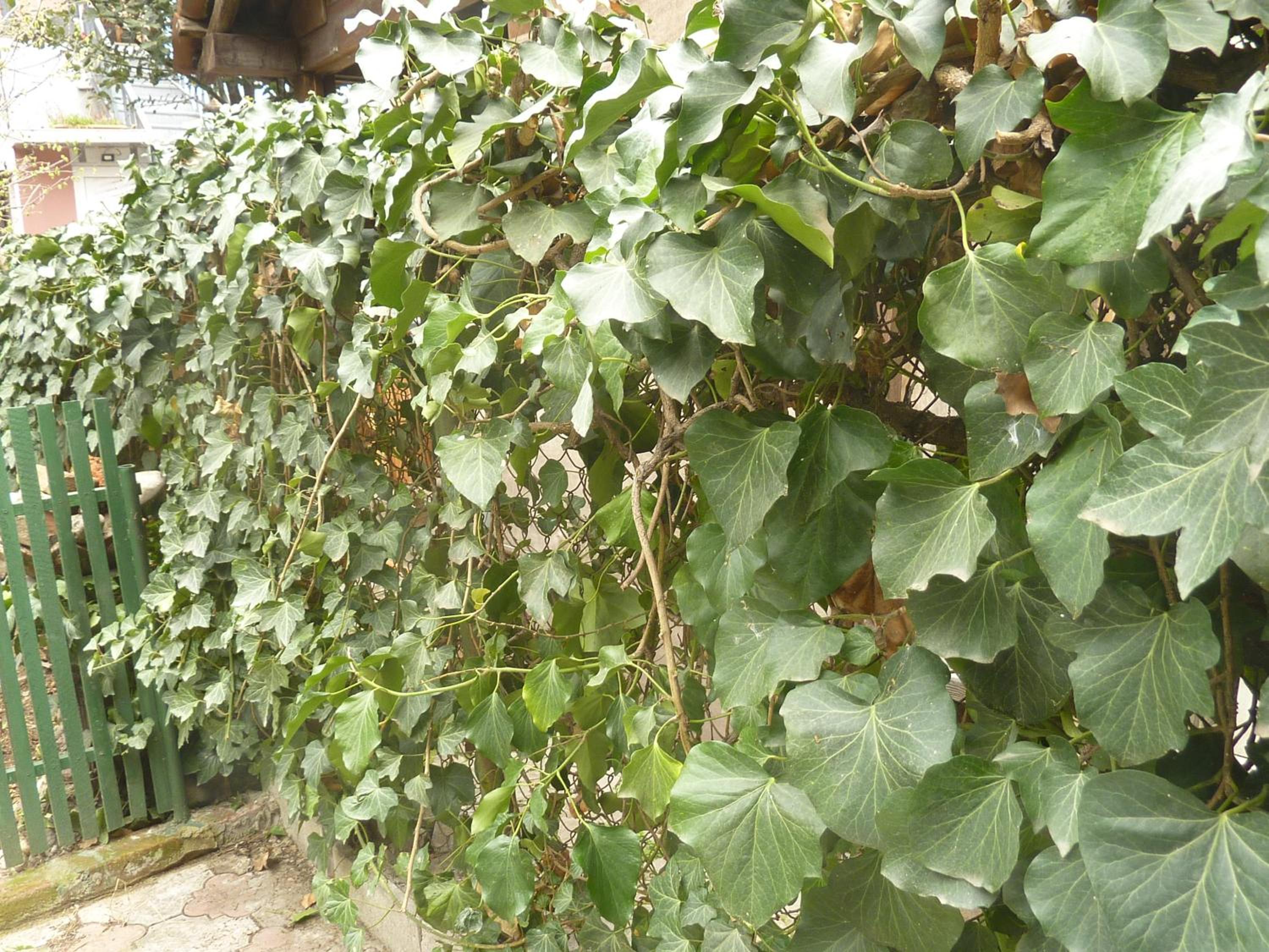 Photo 35