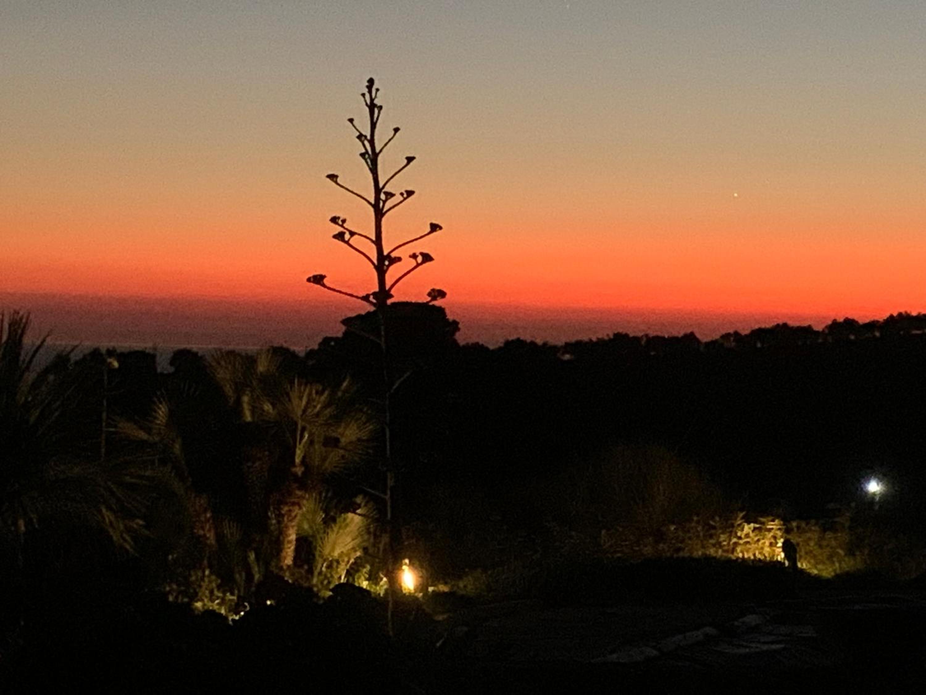Casa Balata