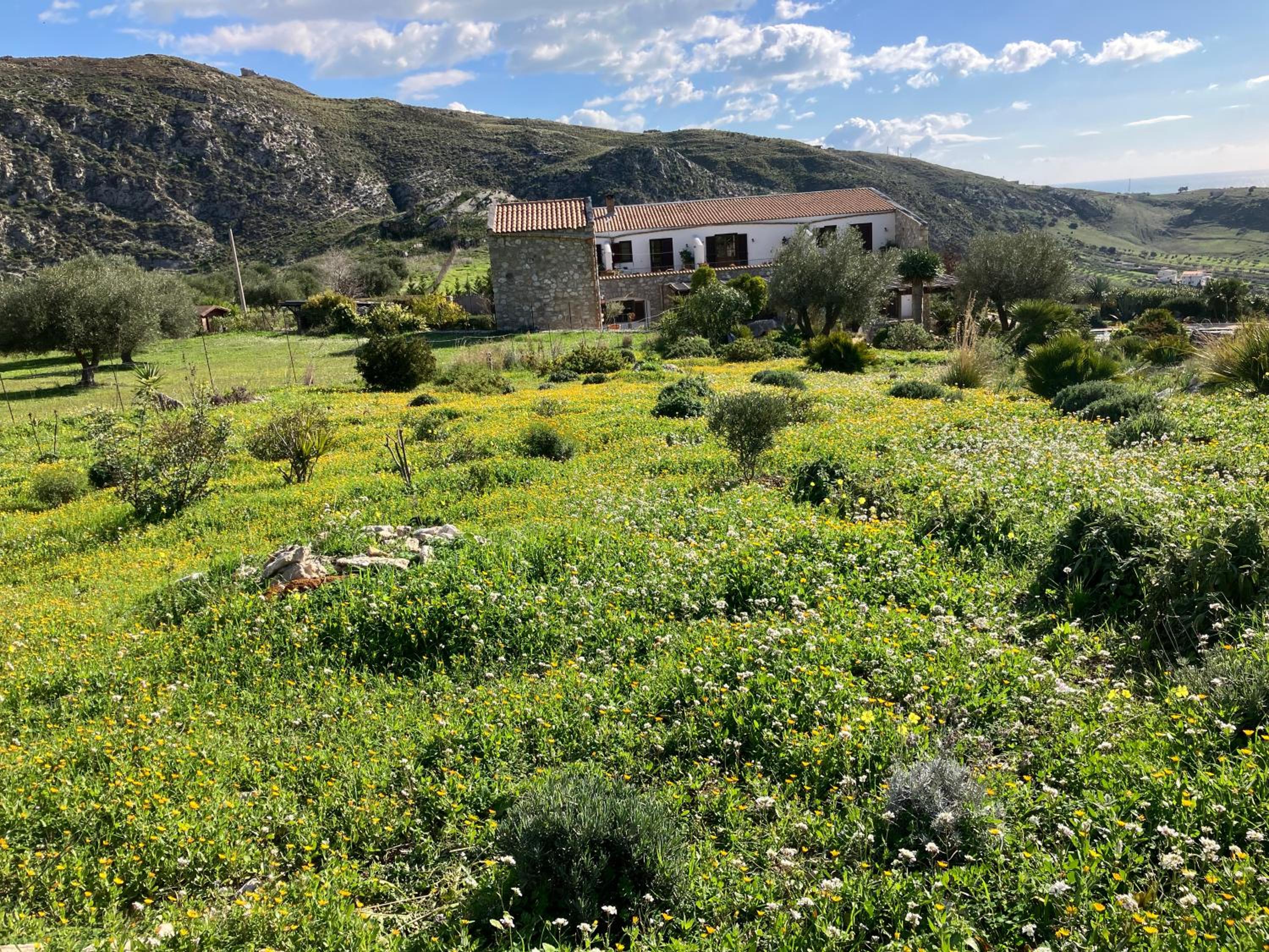 Casa Balata