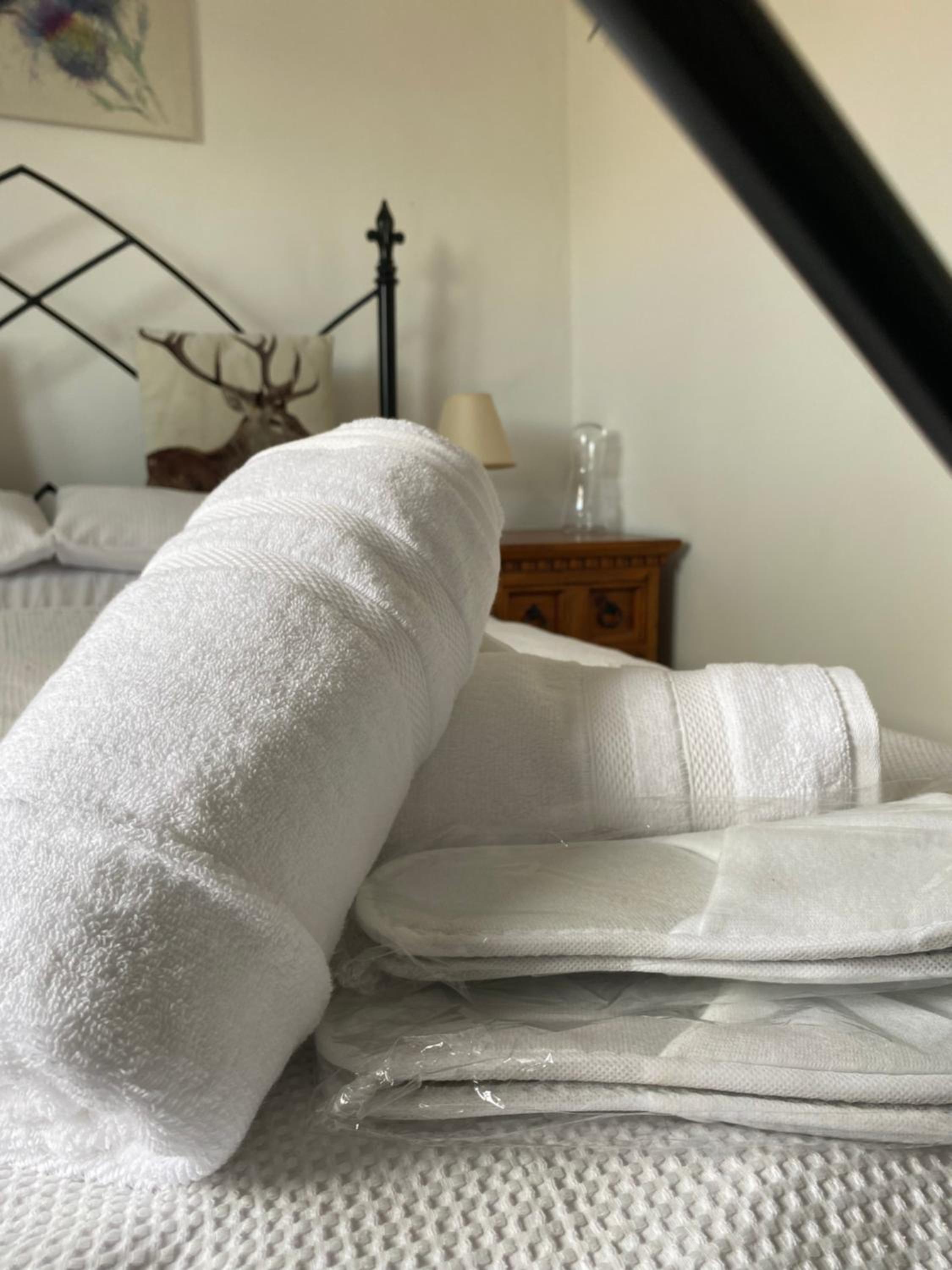 Looe Vacations - Horseshoe Cottage - Property Image 4