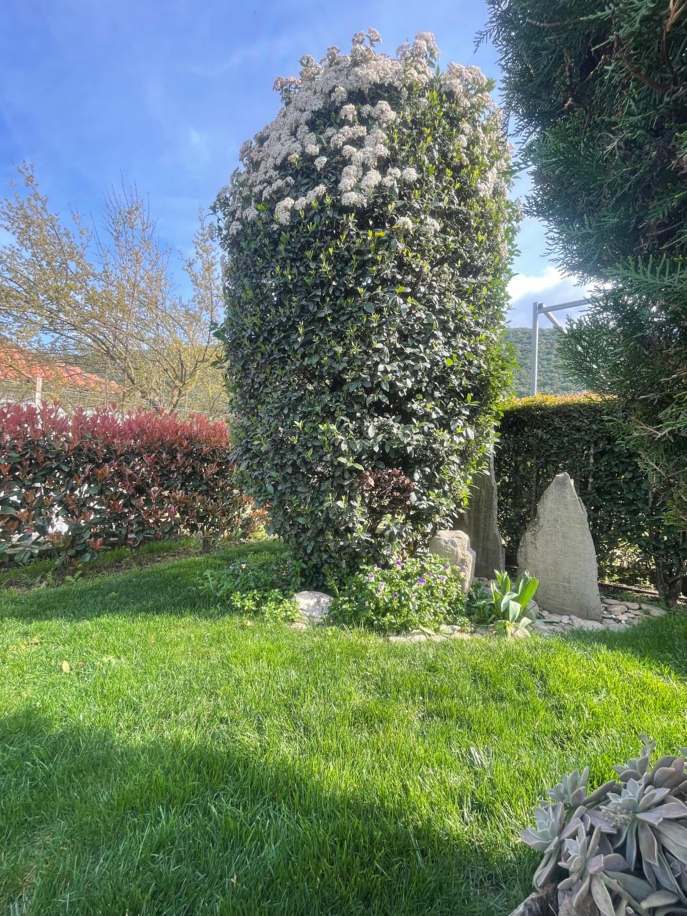 VILLA NIKOLETTA