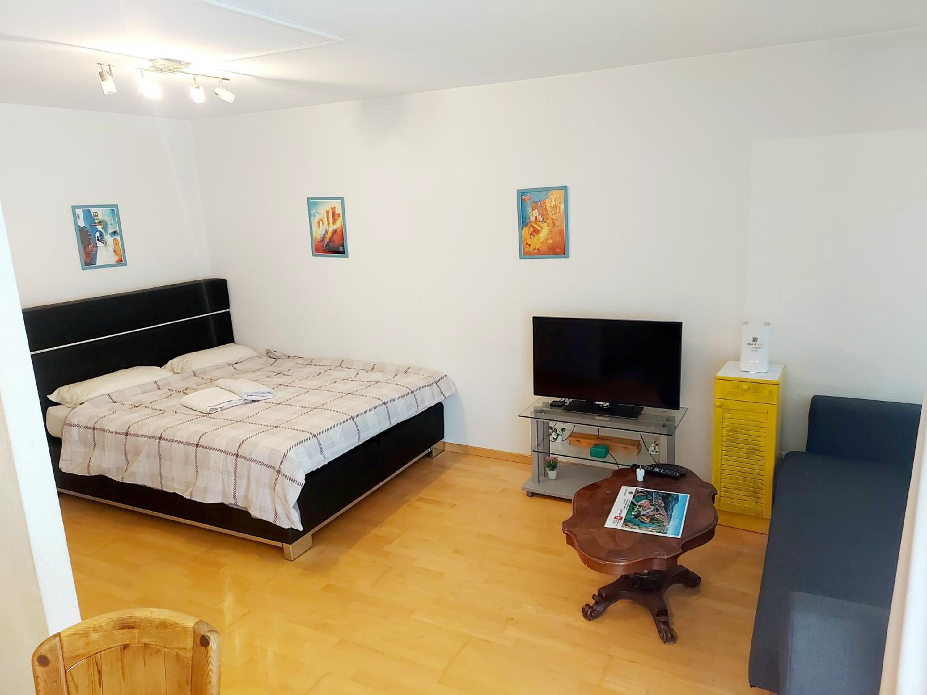 Large Apartment Bern City Centre view 5