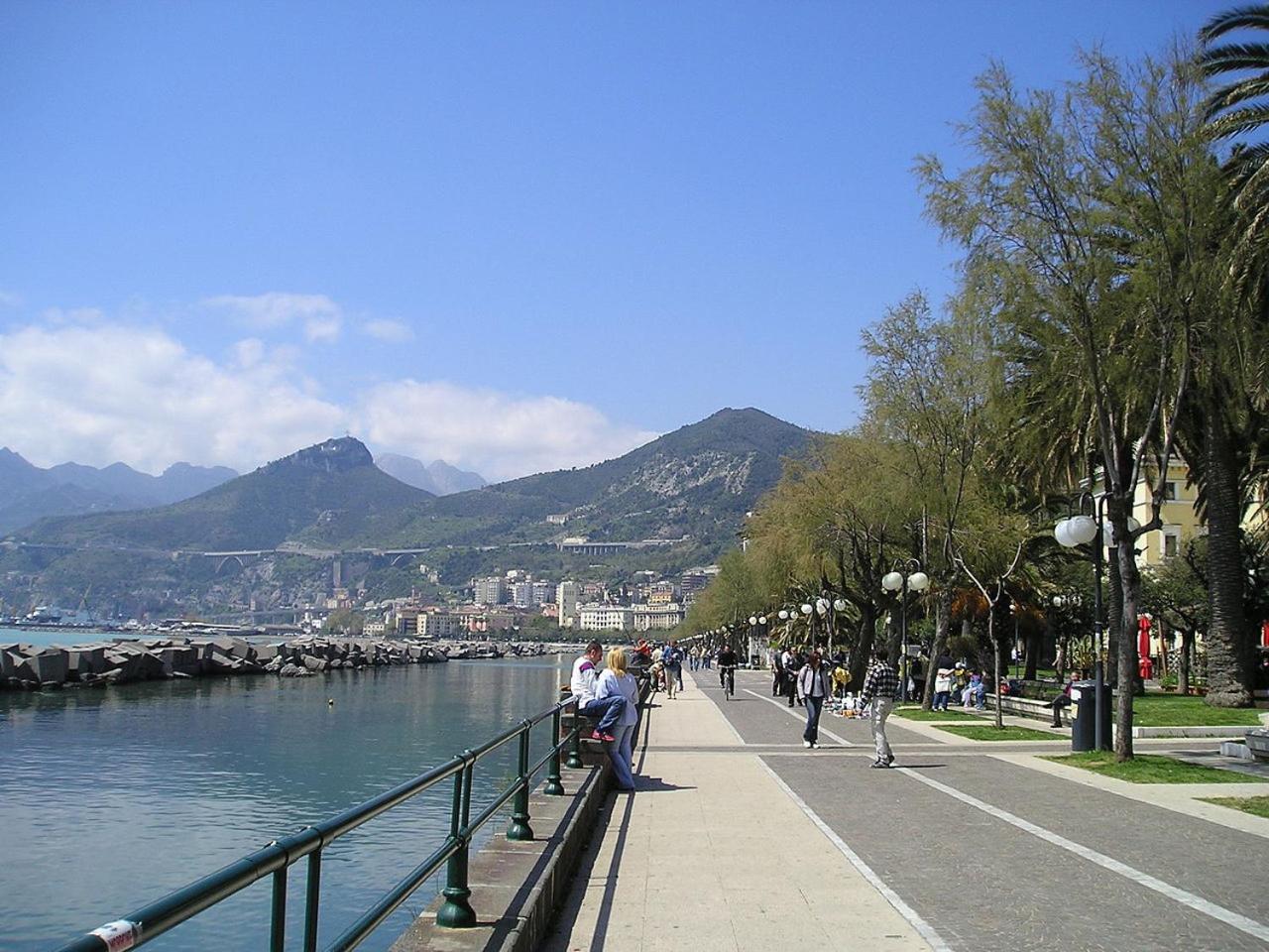 Photo 8