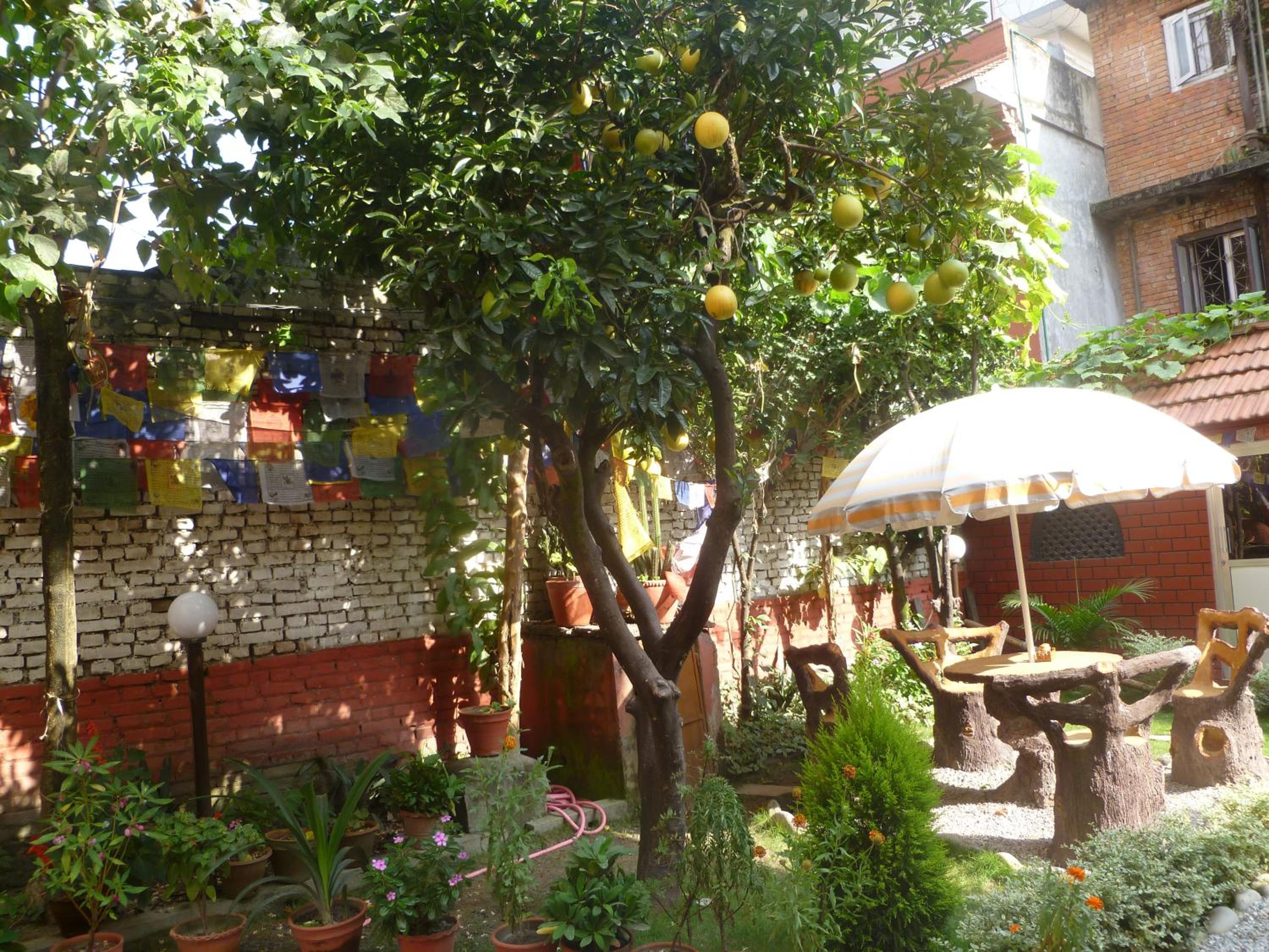Andes House