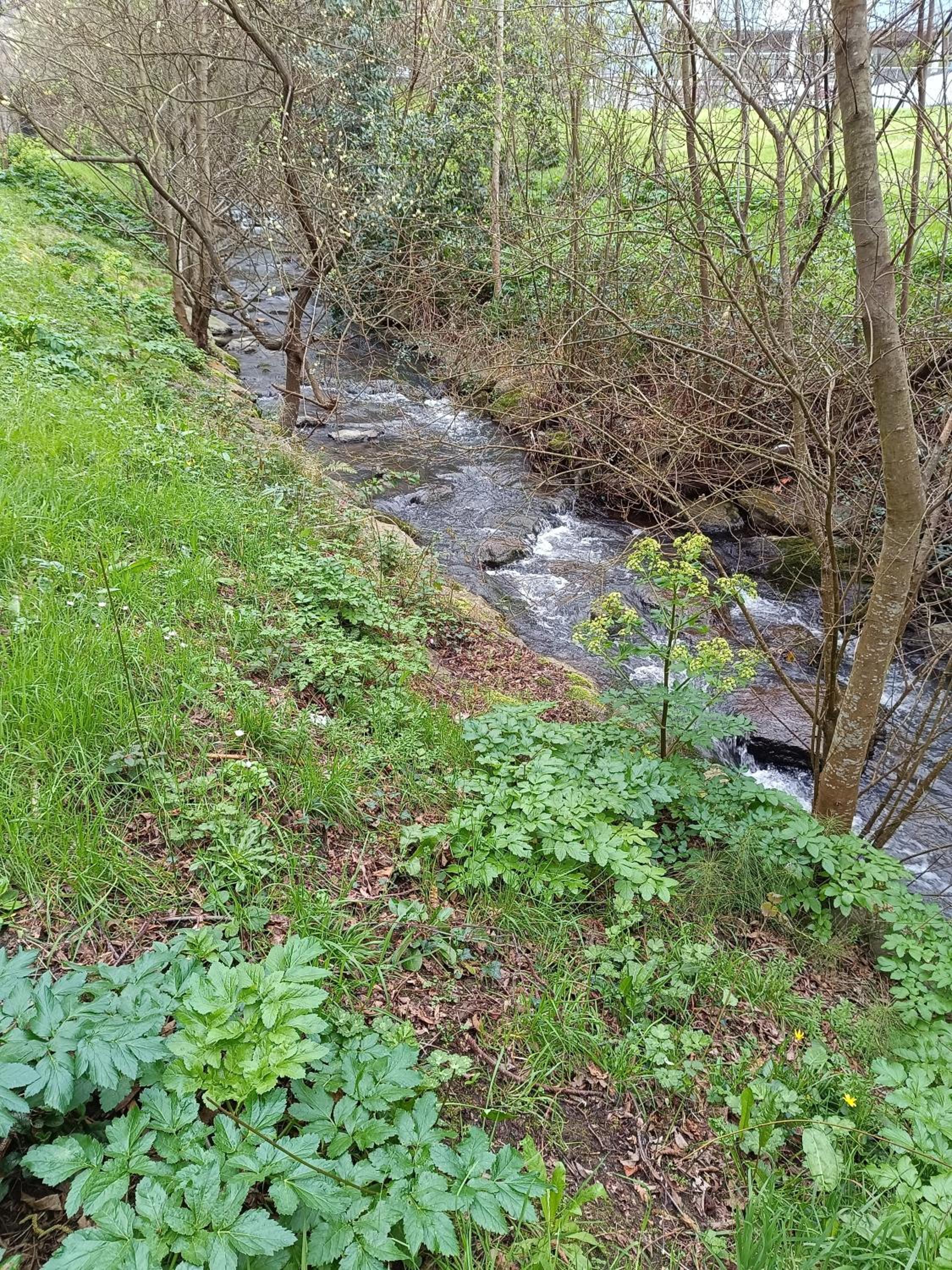 Bermeo y Urdaibai - PARKING-Ascensor - WIFi - tranquilo photo 4