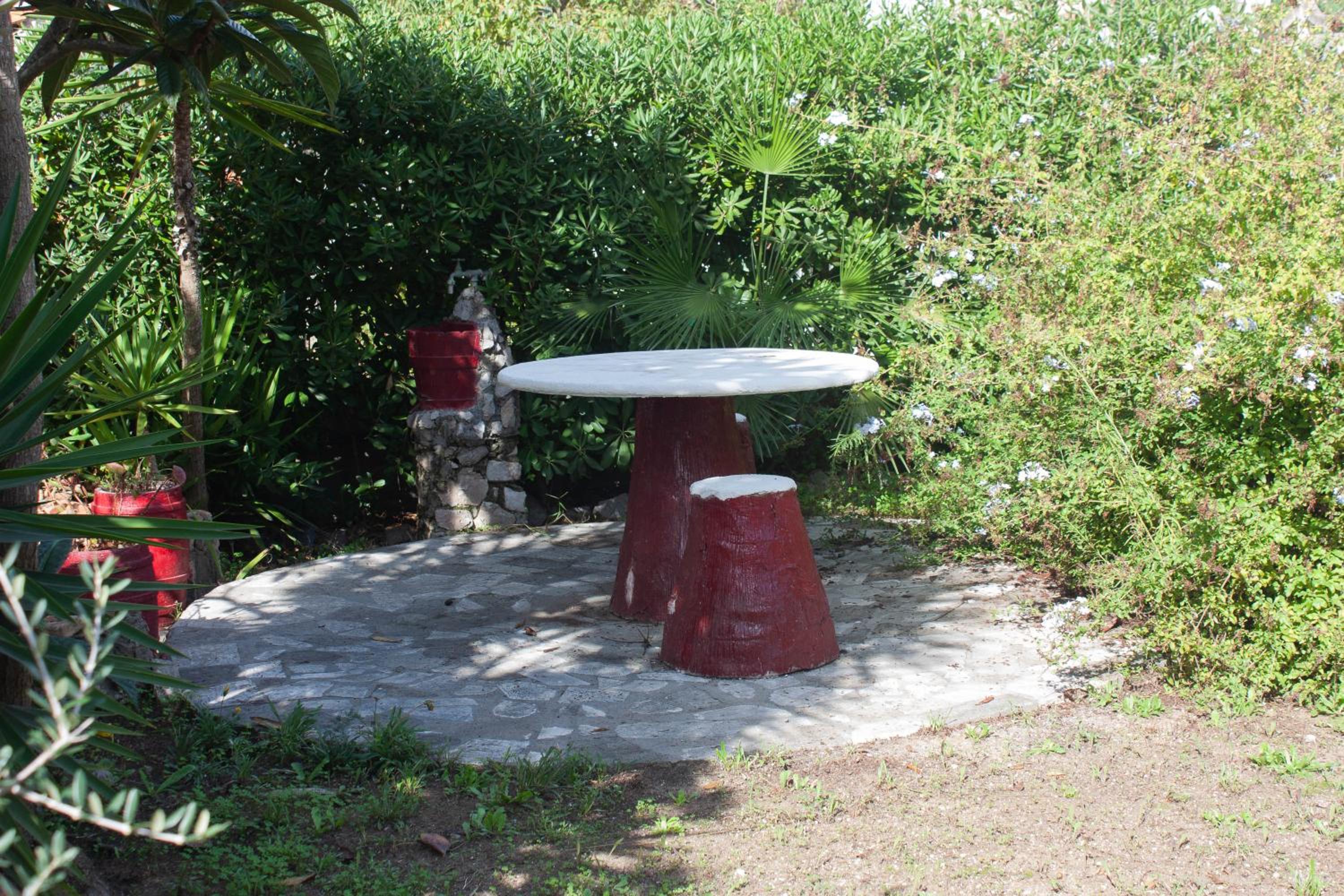 Photo 9