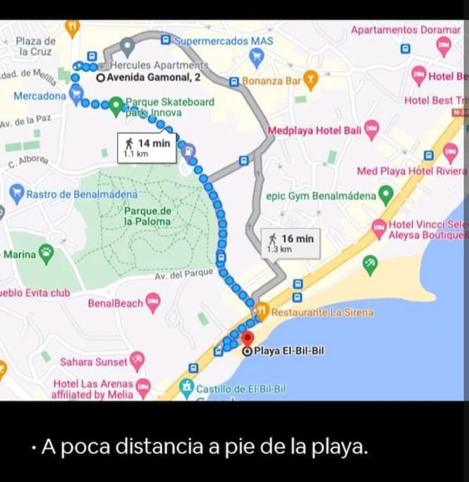 Hércules Nuevo y Moderno Estudio