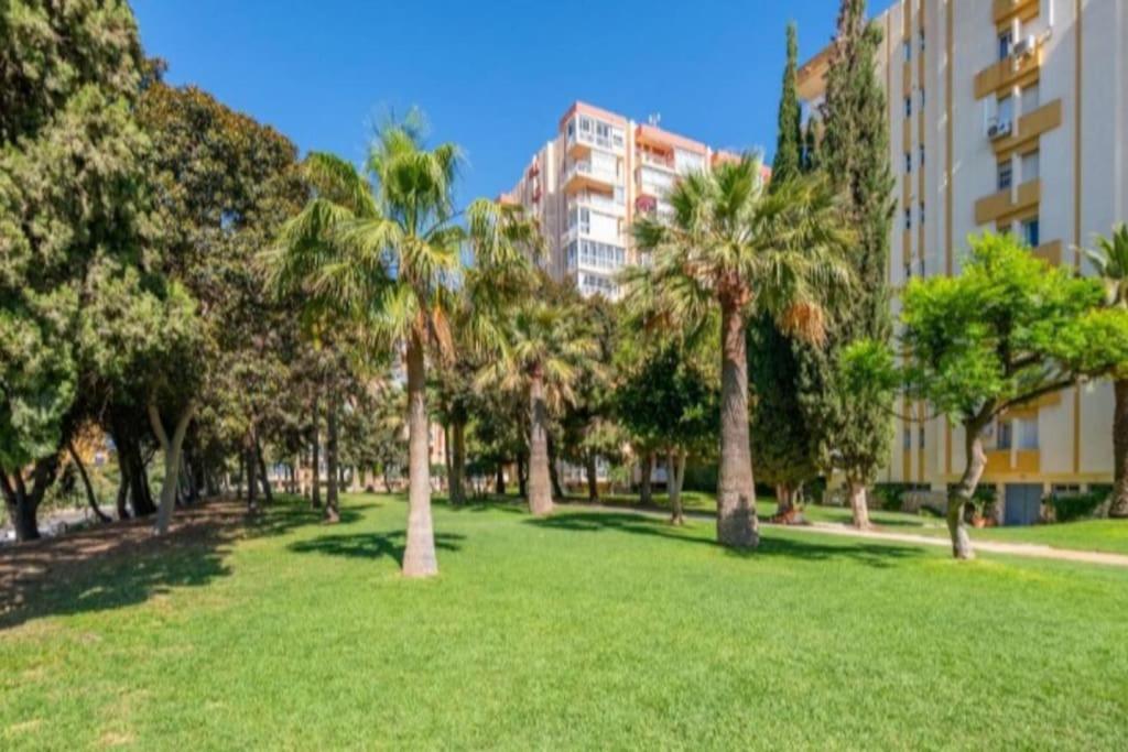 Hércules Nuevo y Moderno Estudio
