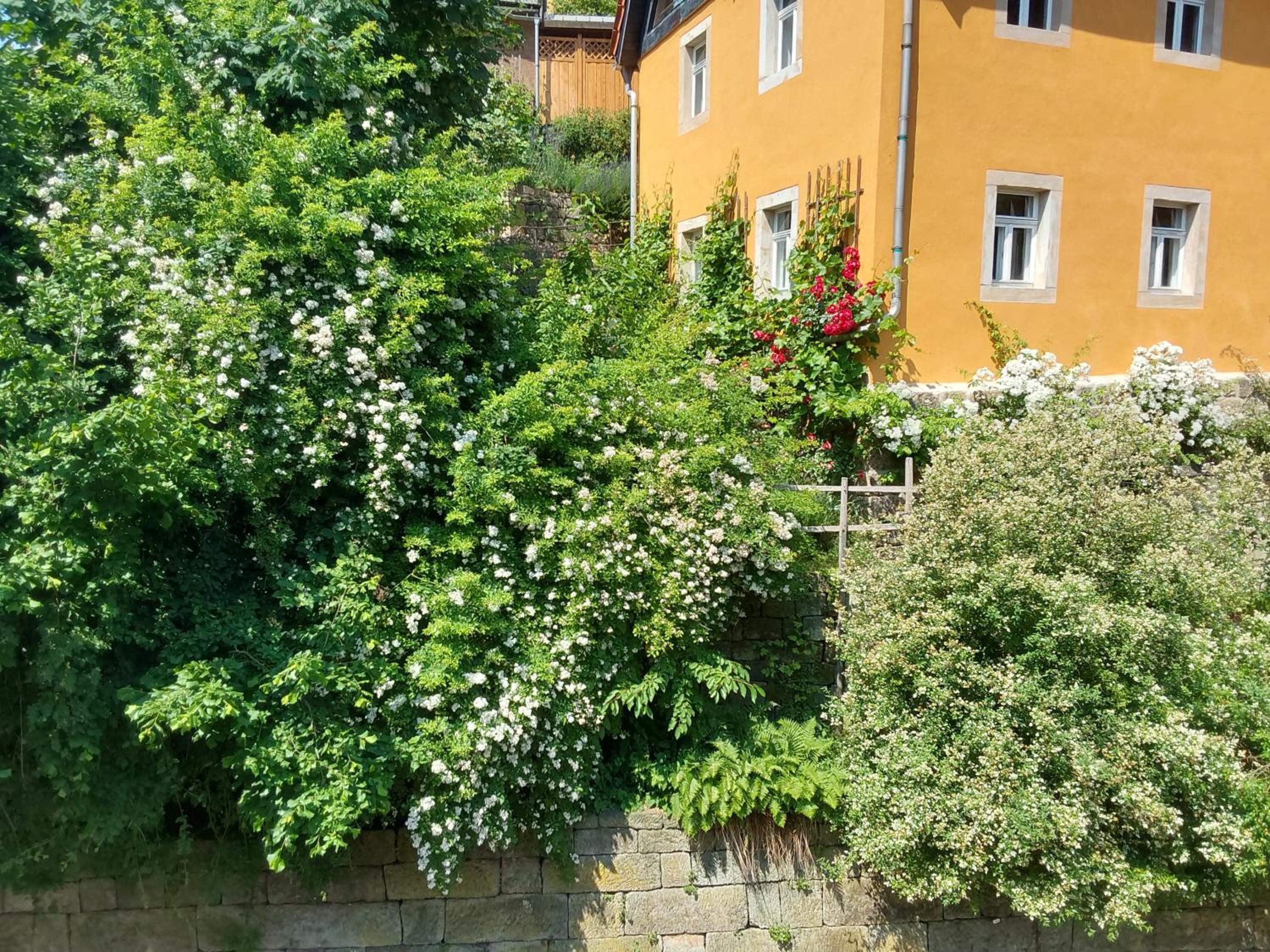 Bed and Breakfast Wehlen