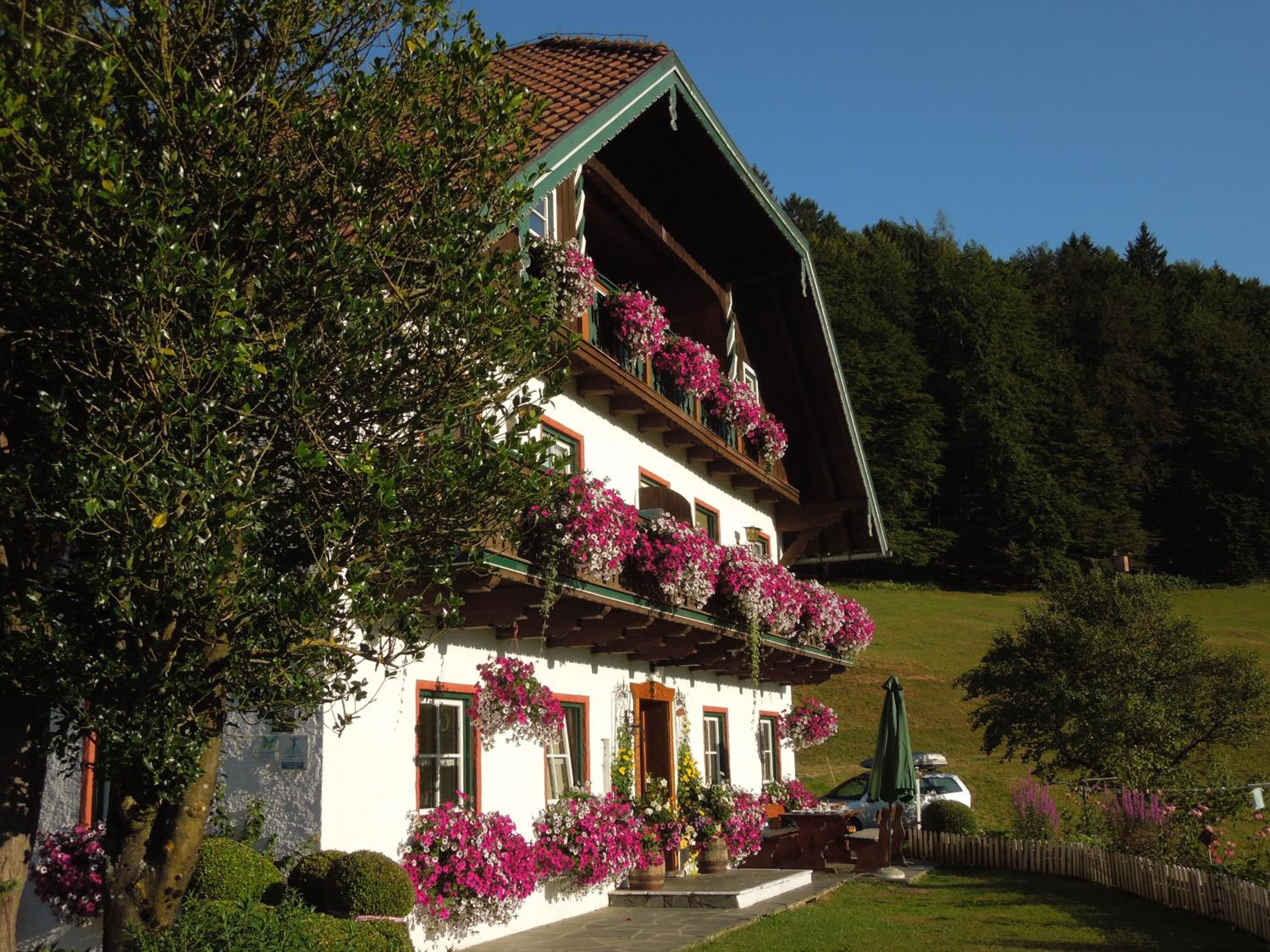 Wohlfühlbauernhof Bambichlhof