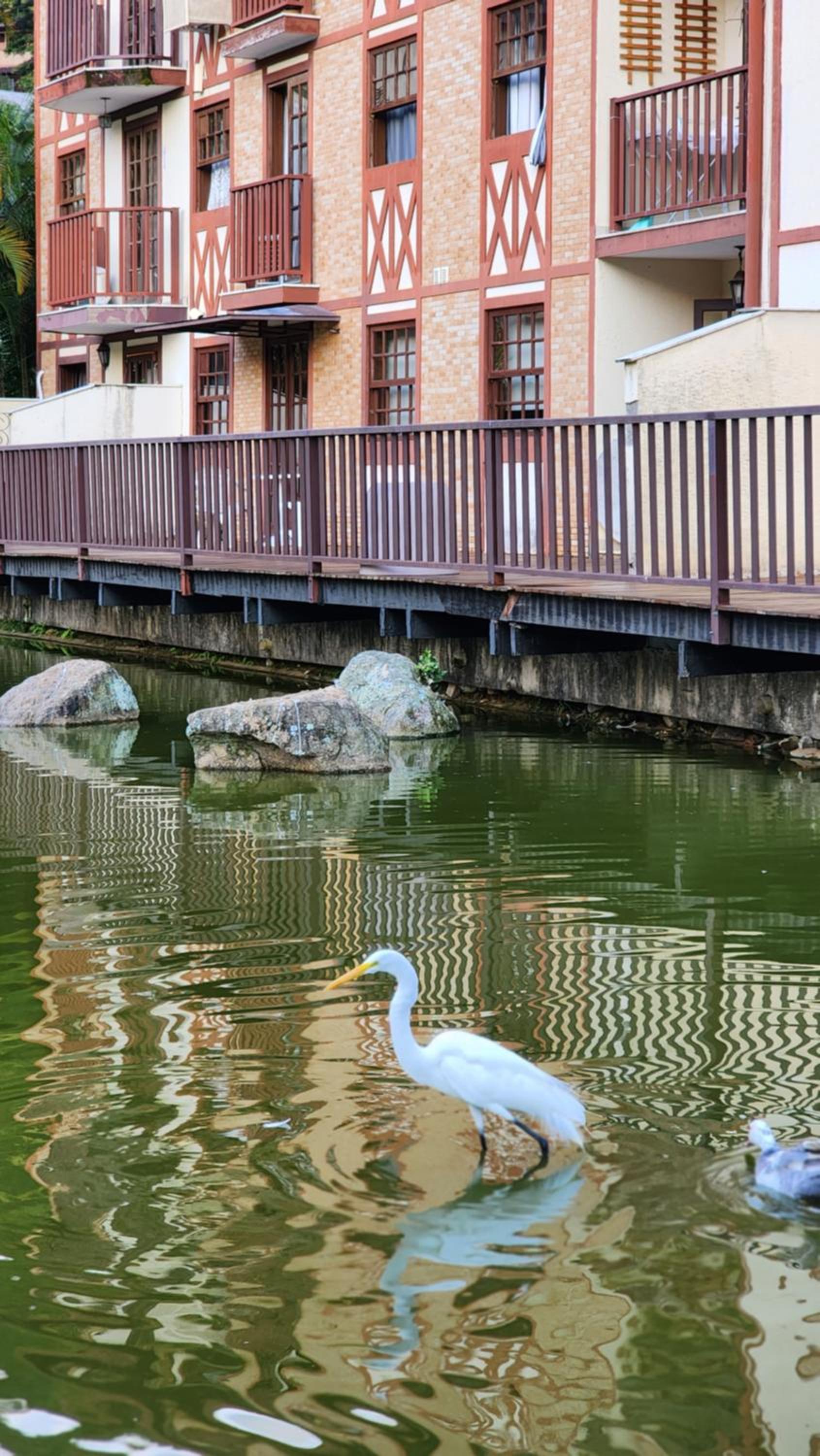 Paraíso do Lago em Itaipava