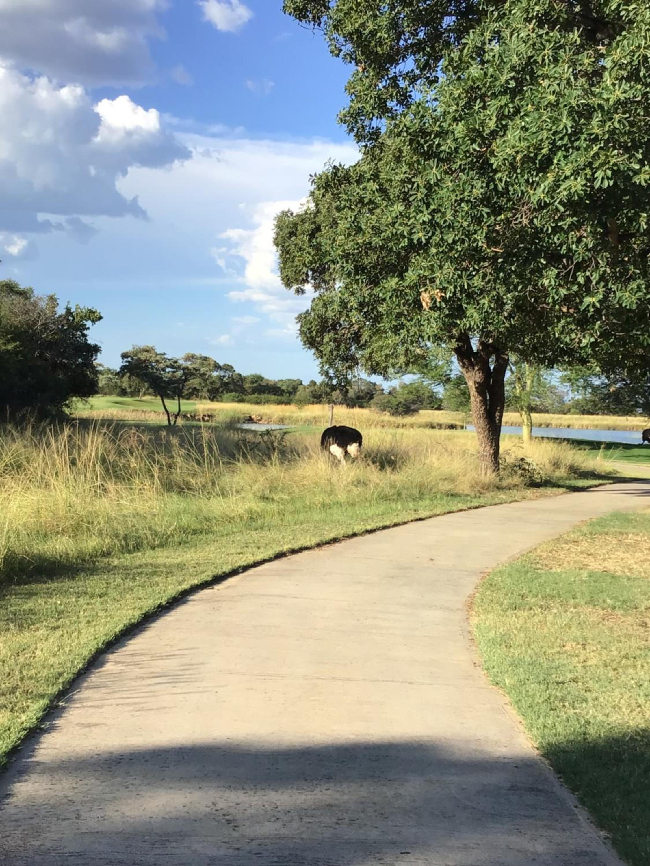 The 314 Euphoria Golf Estate view 5