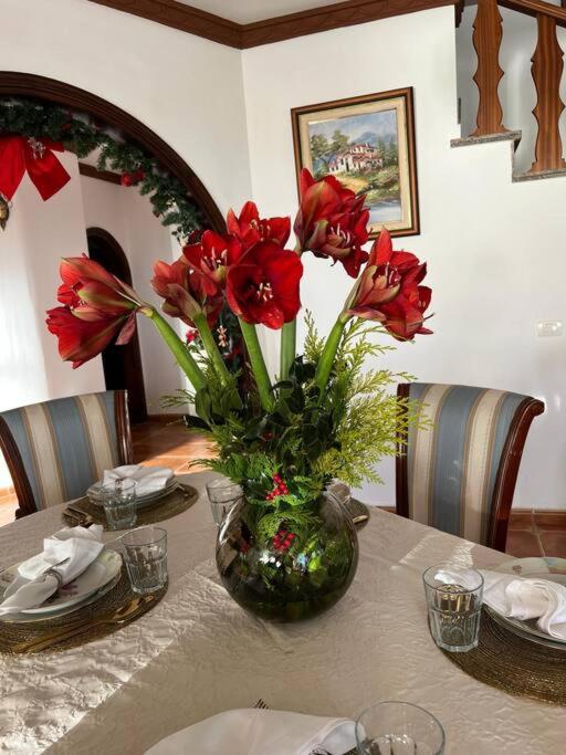 Maravilla Villa with Sea Views