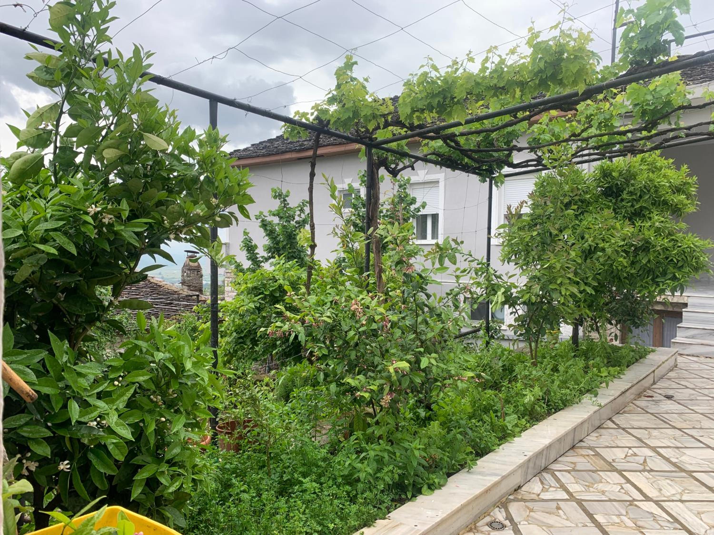 Kubeja Guest House