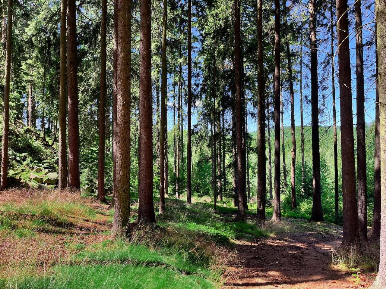 Dům Skala
