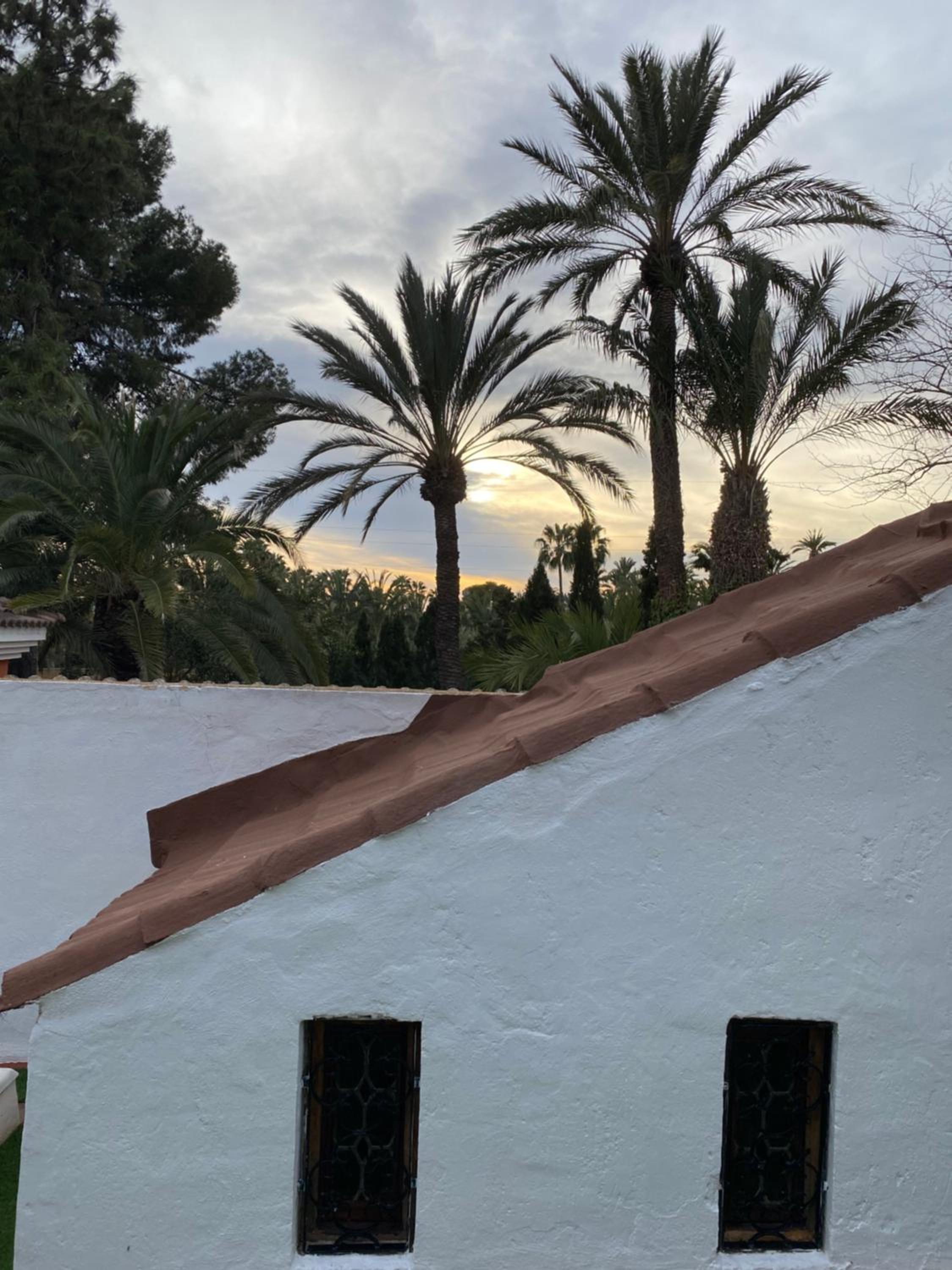 Pink Lemon House