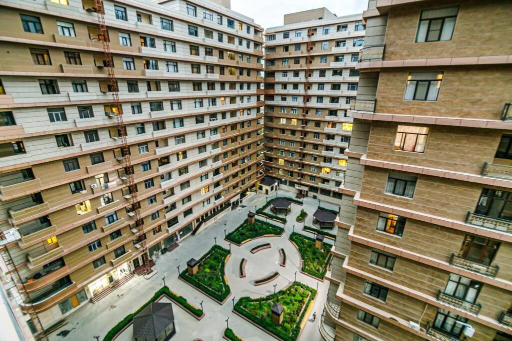 Apartment New 1