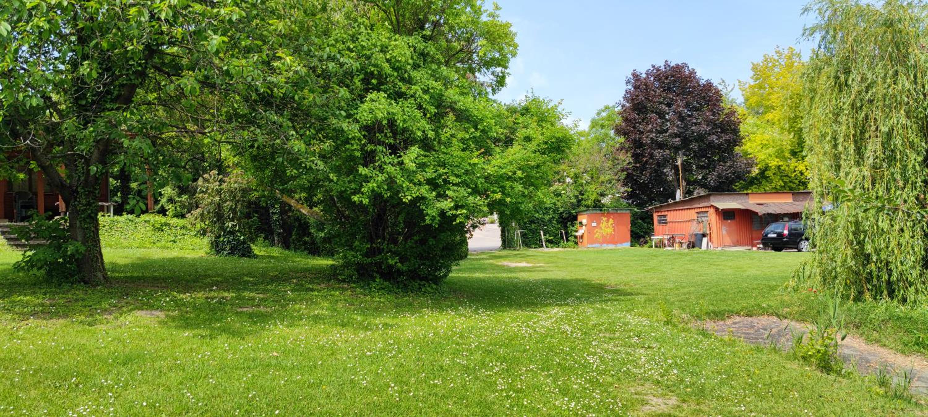 Photo 11