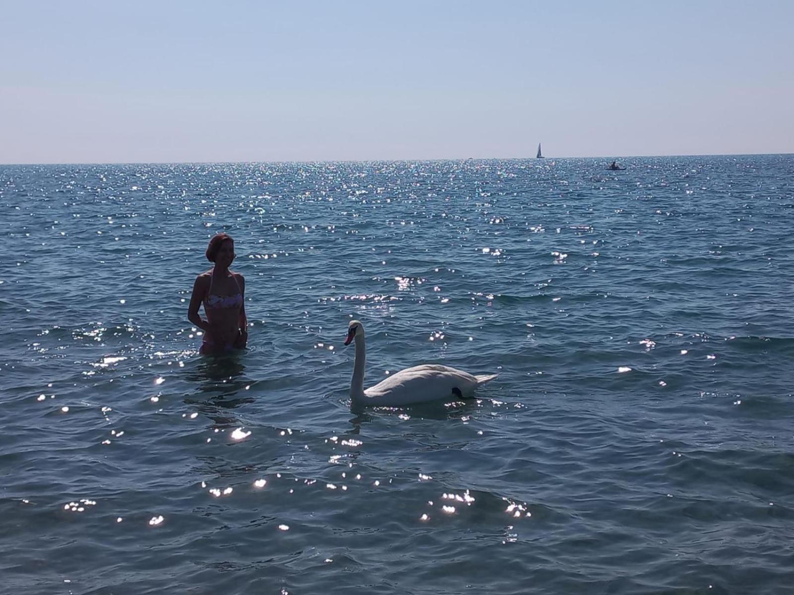 Attico Tra Cielo e Mare Lido di Roma photo 4