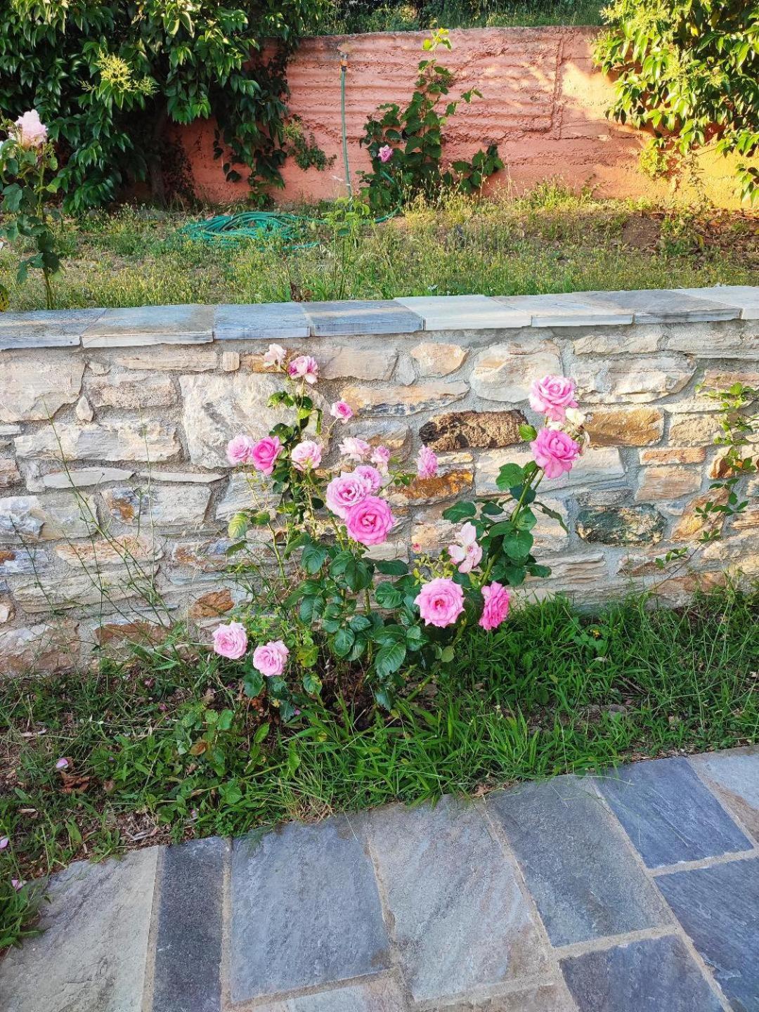 Photo 77