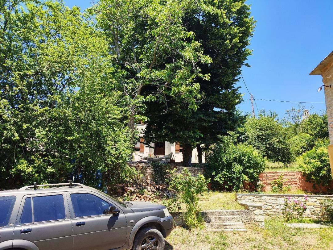 Photo 87