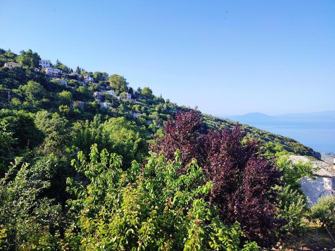 Photo 90