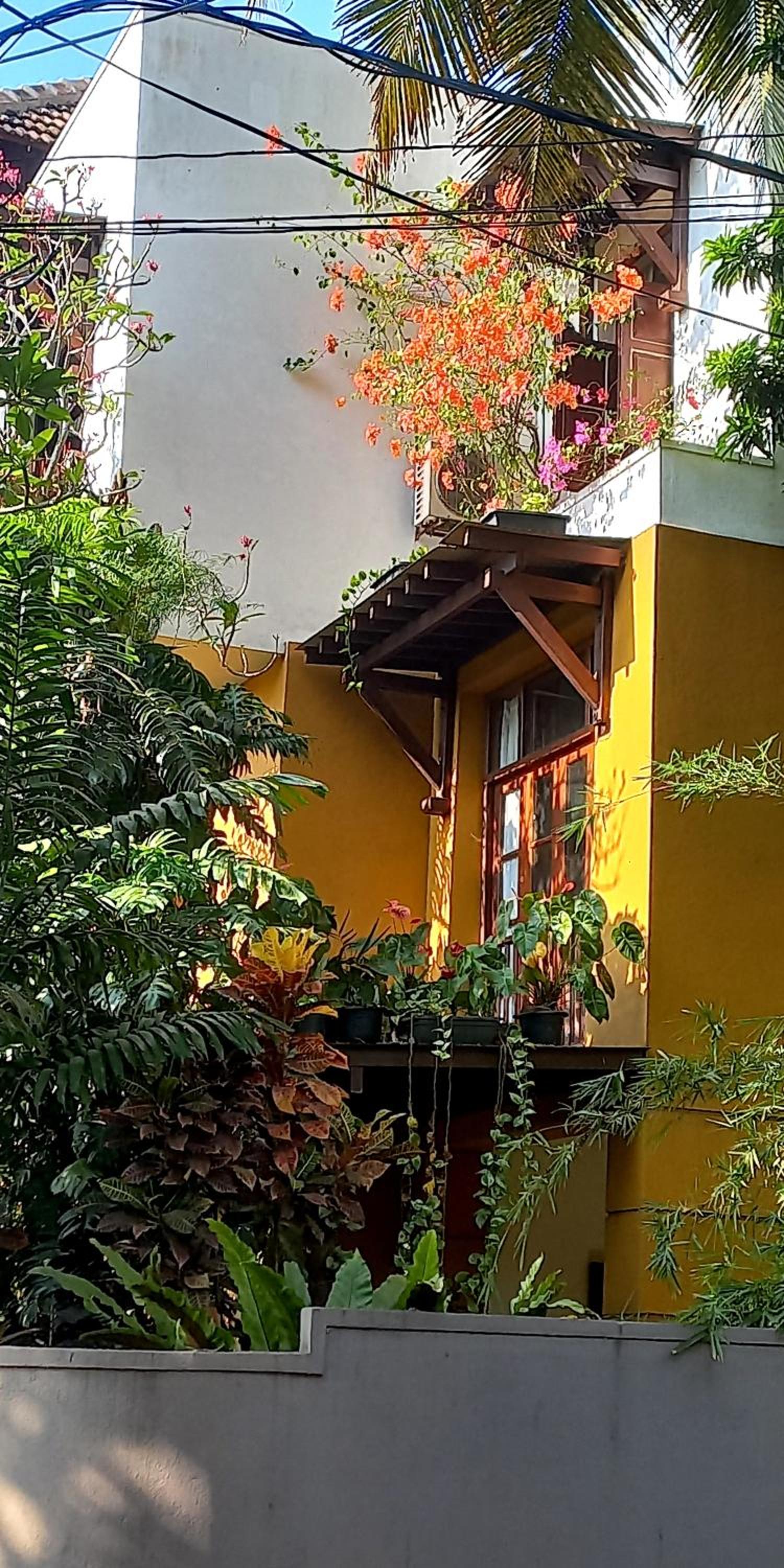 LUMBINI home stay view 2