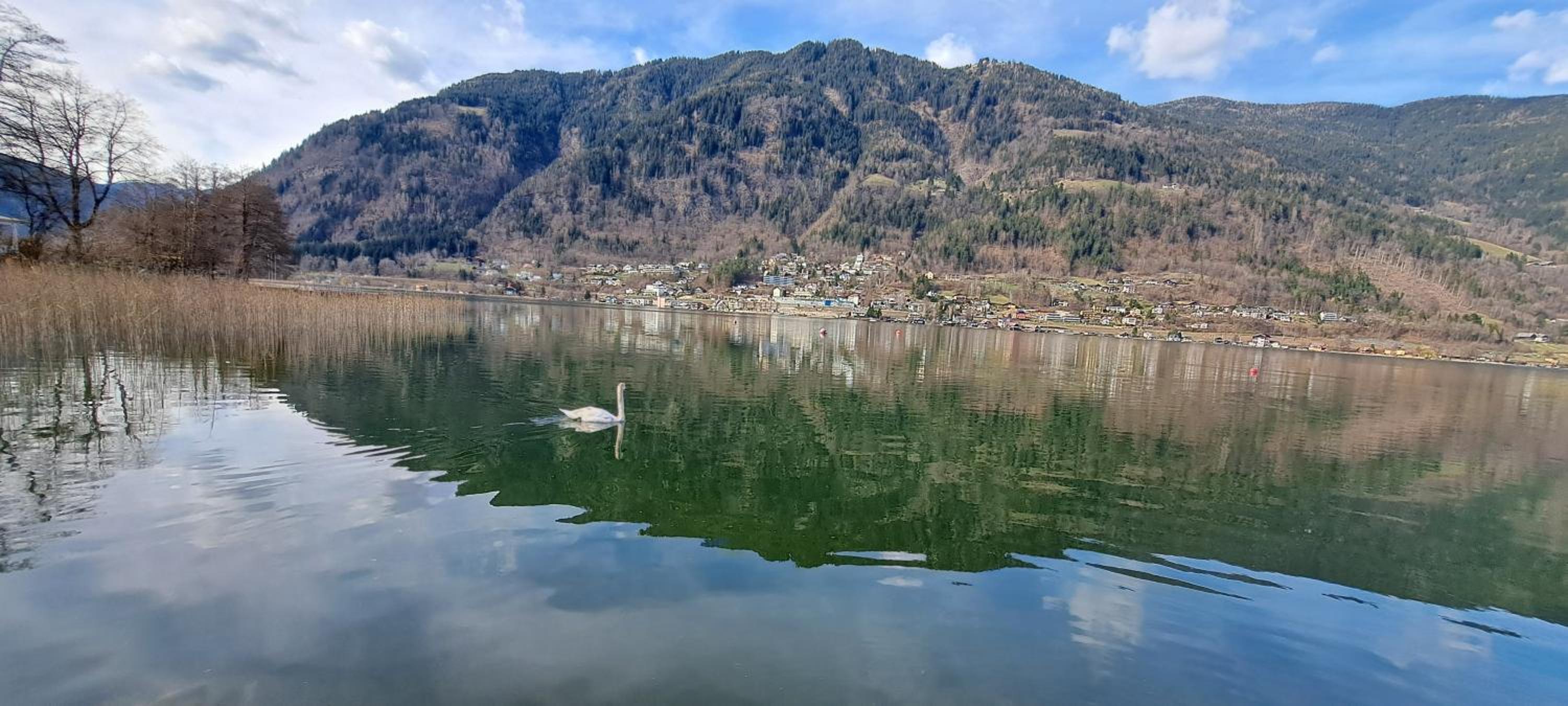 Sommertraum am Ossiacher See - direkter Seezugang, zentrumsnah und Erlebniscard