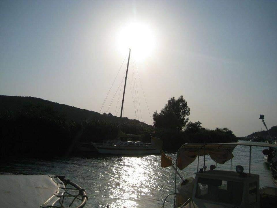 Photo 40