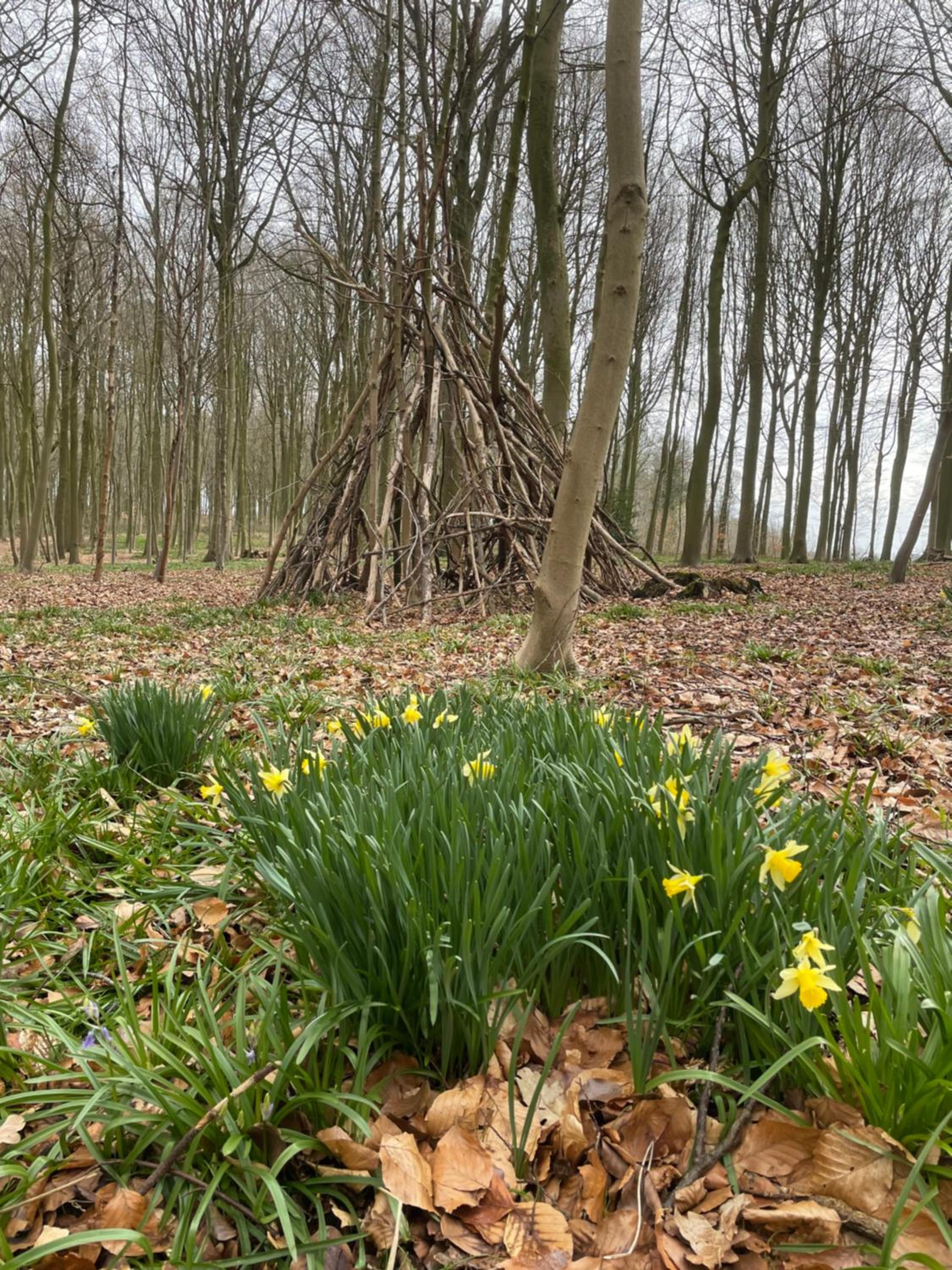 La Canopée des Arbres, Anna