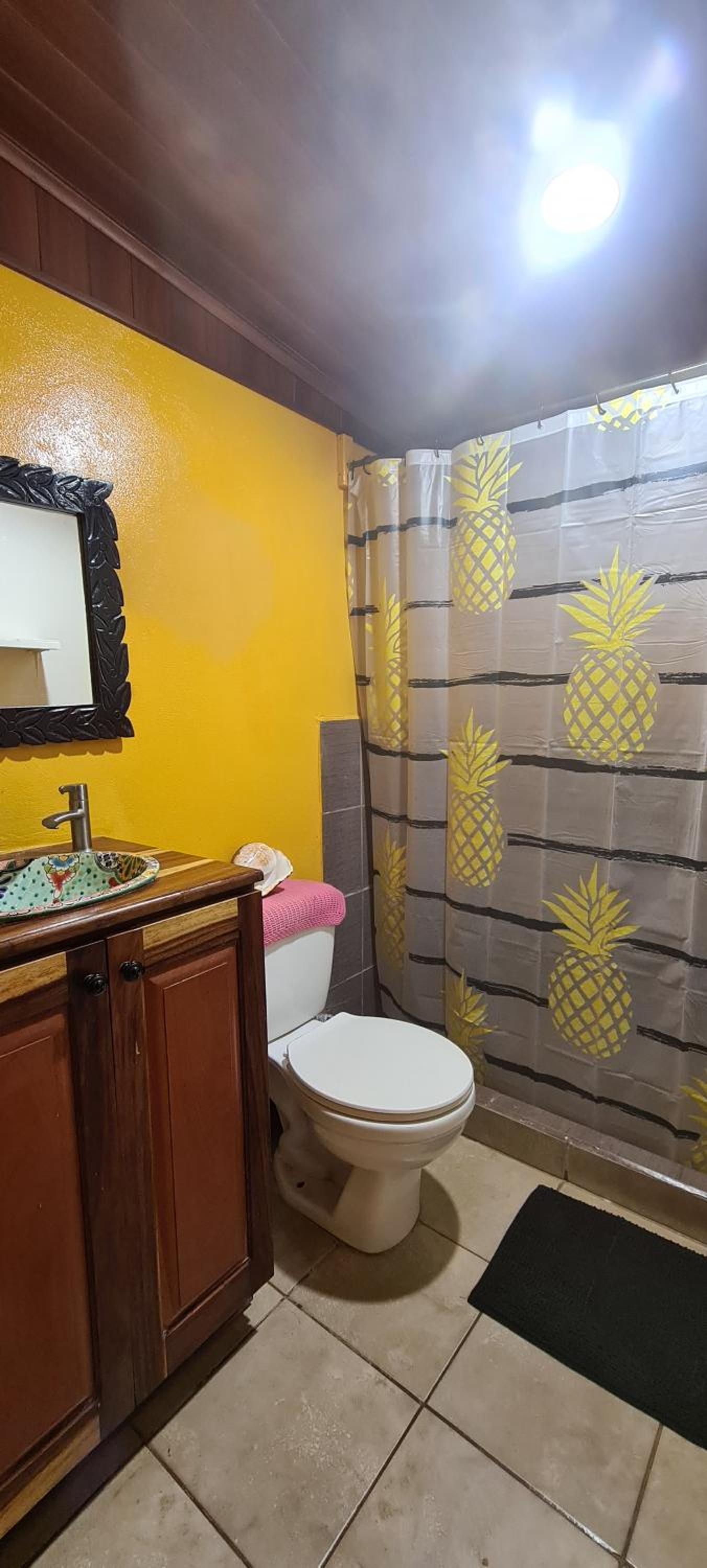 Congos Hostal y Camping