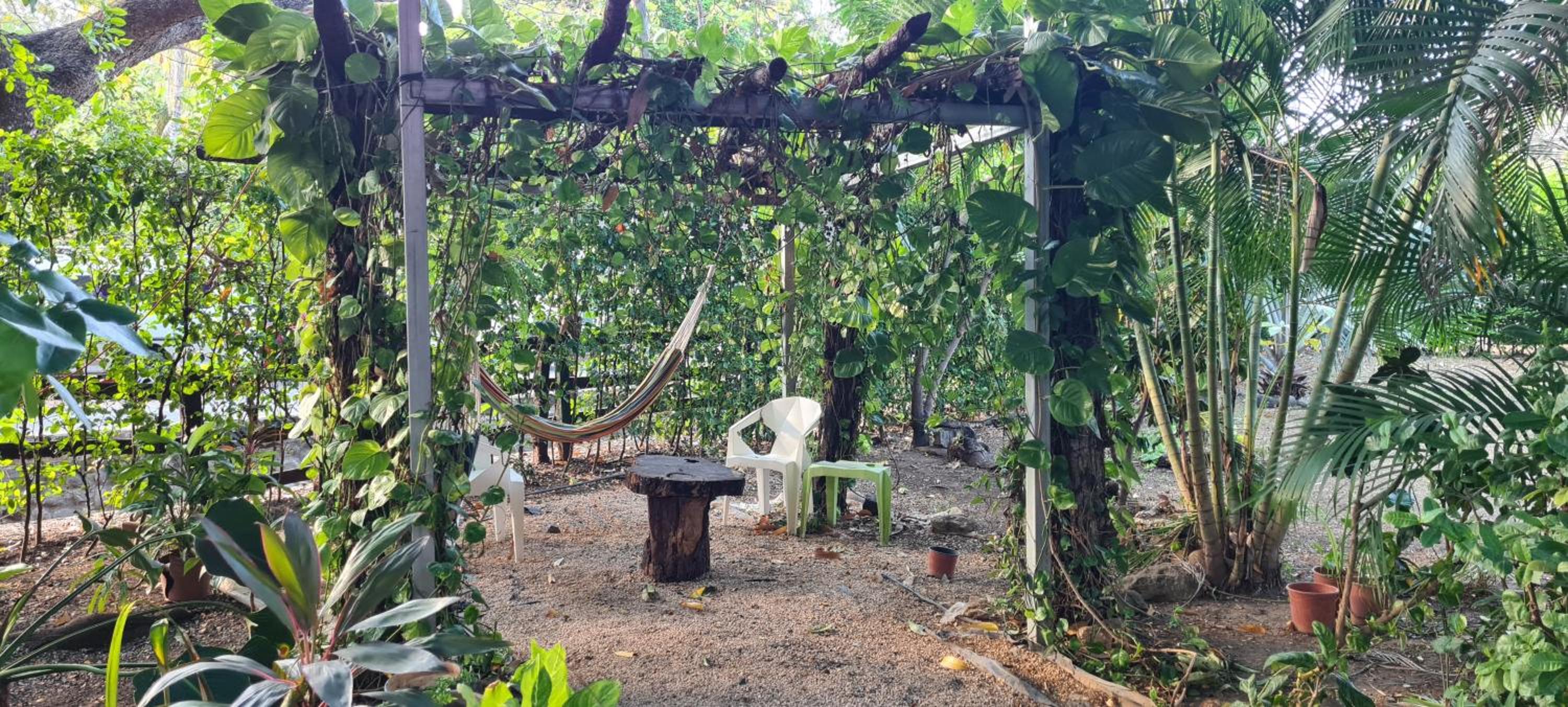 Congos Hostal y Camping