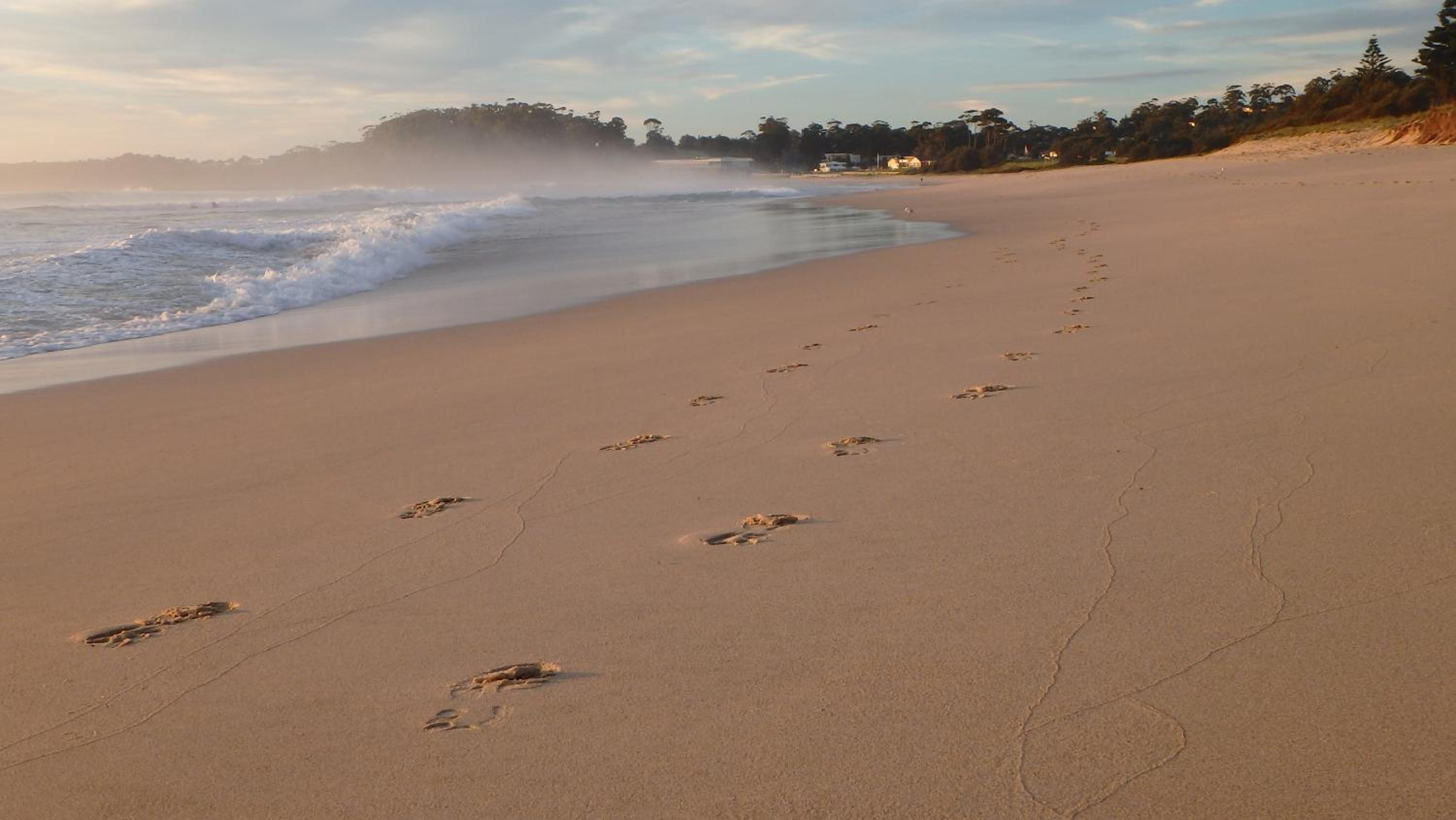 The Ridge Retreat at Mollymook
