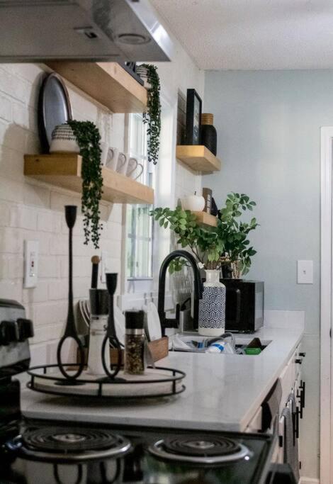 Cozy & peaceful house in Perry Florida view 3