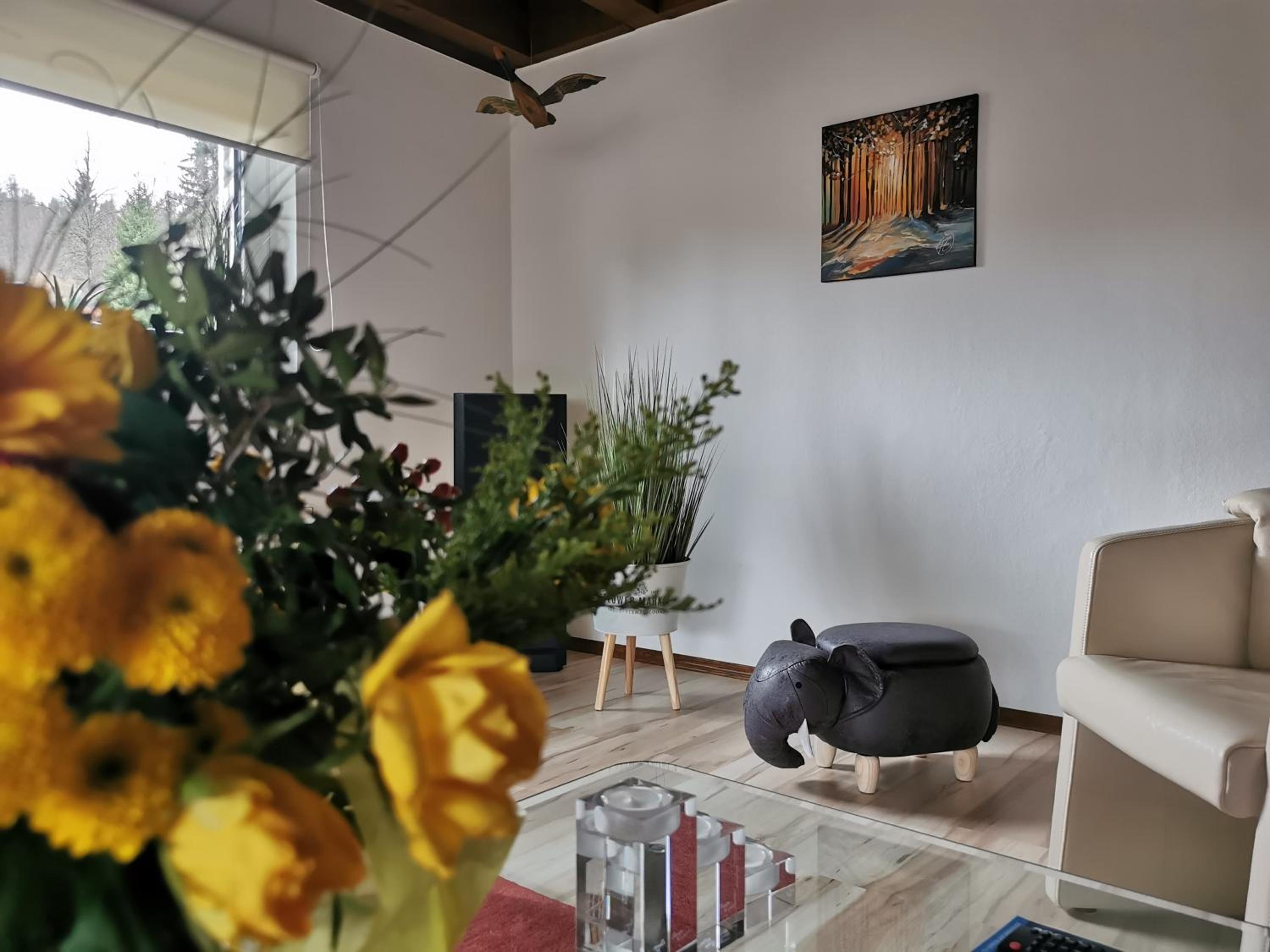 Ferienhaus Aanthuus