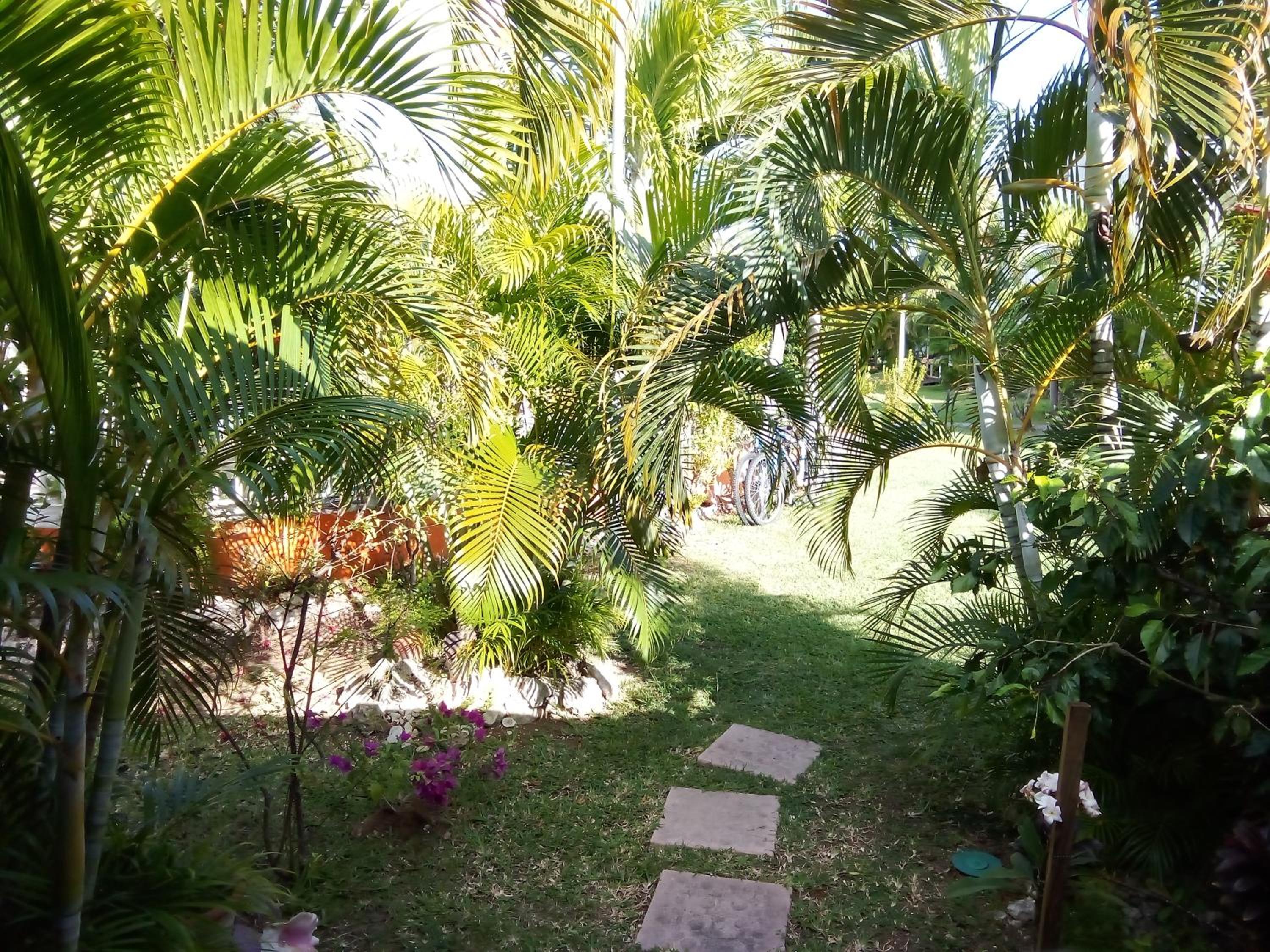 Photo 15