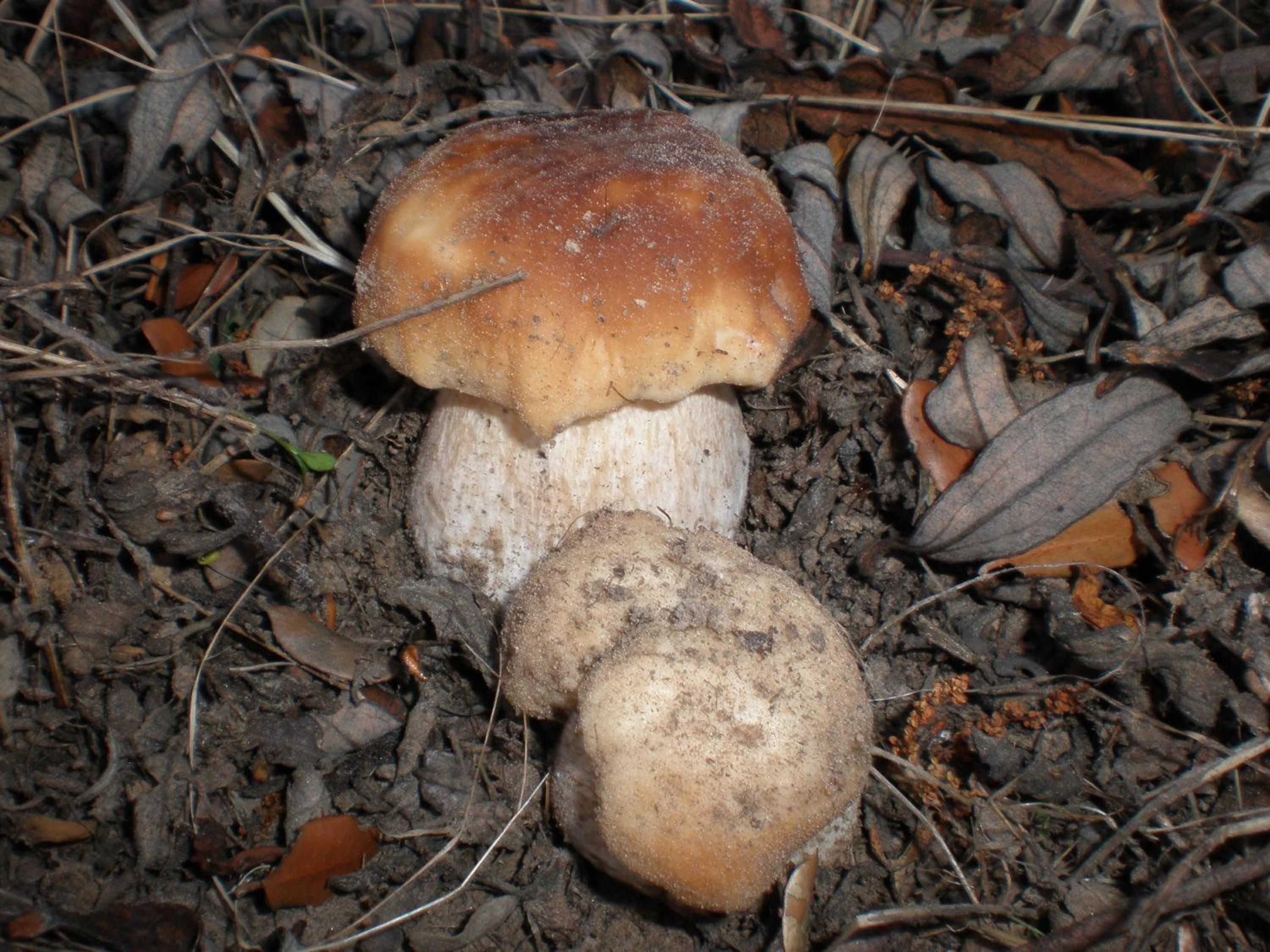Photo 20