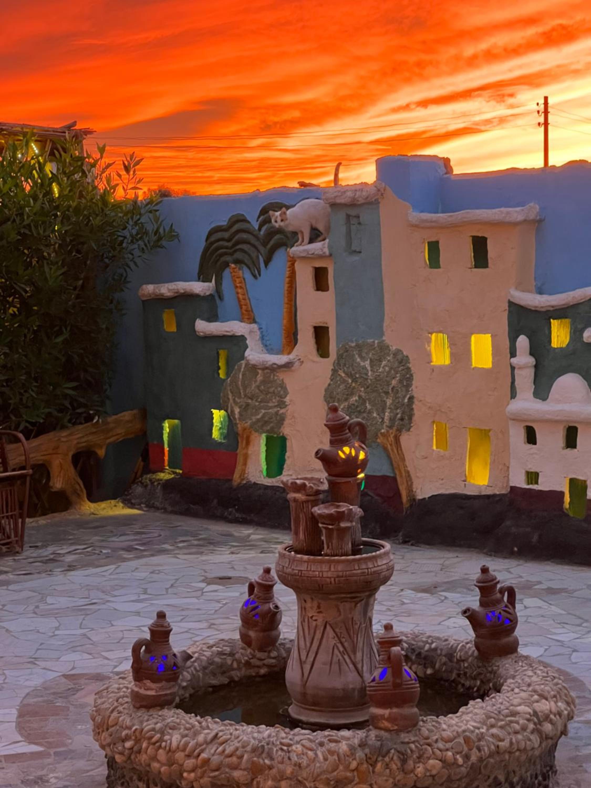 Oasis Camp