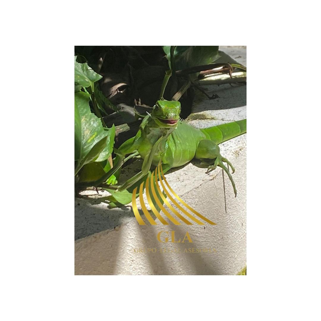 Natural Aparment Santa Ana,Condominio San Nicolas de Bari Etapa l