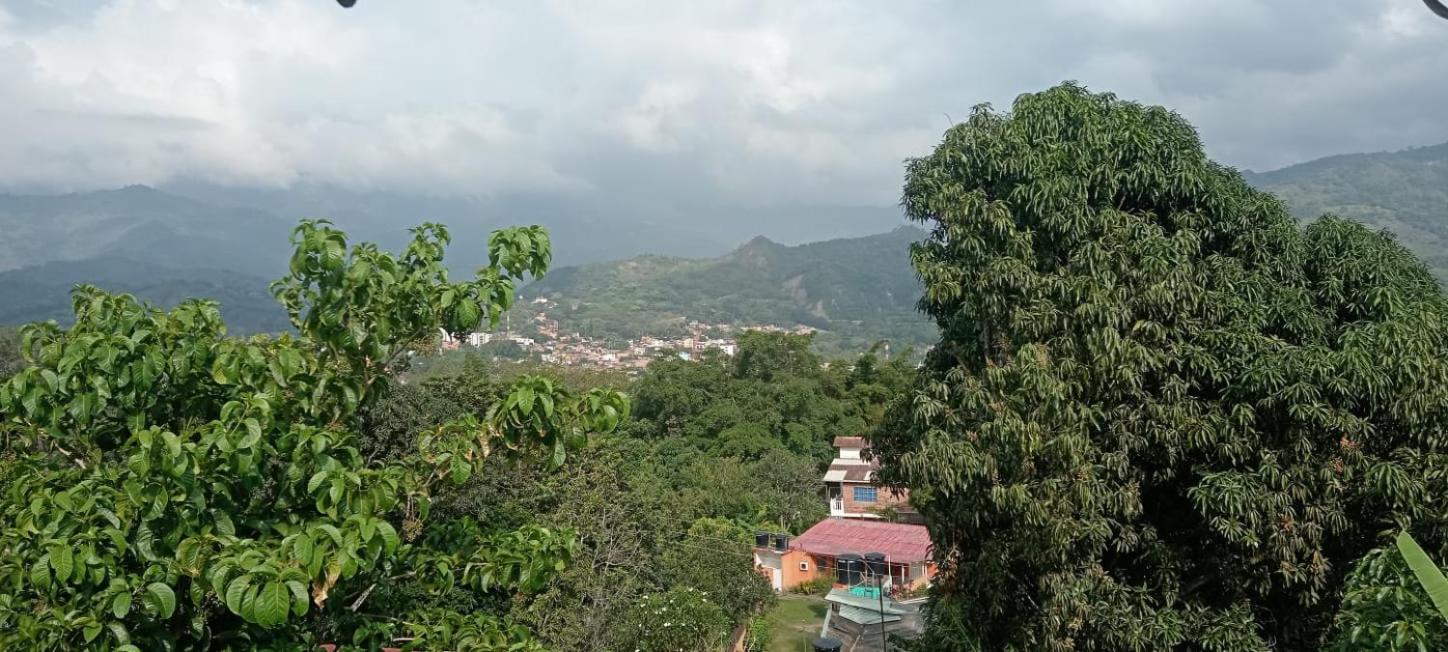 Finca La Martina
