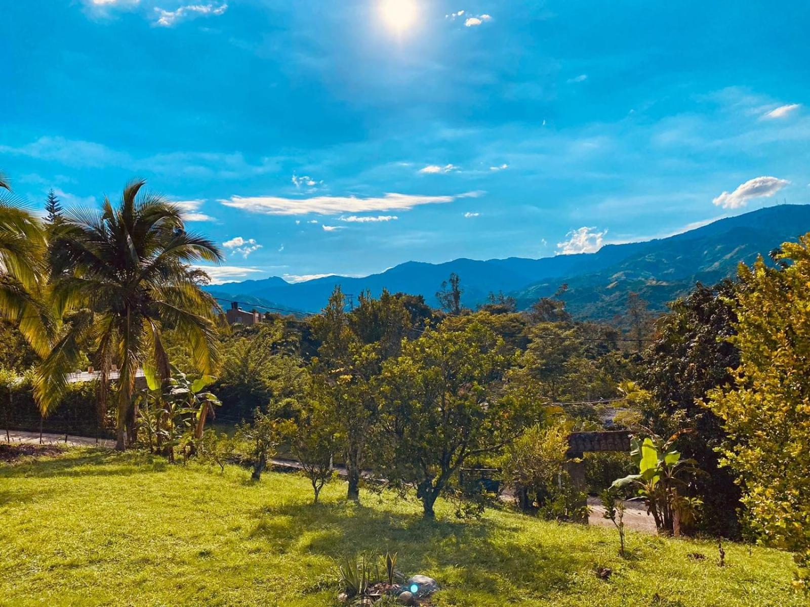 Finca La Martina