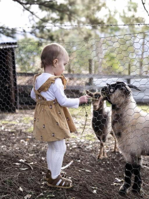 Jamberoo Valley Farm